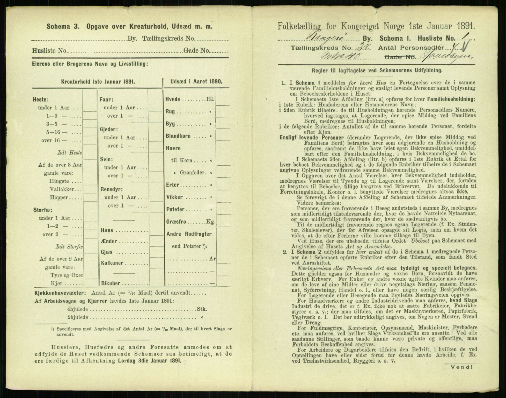 RA, 1891 census for 0801 Kragerø, 1891, p. 1018