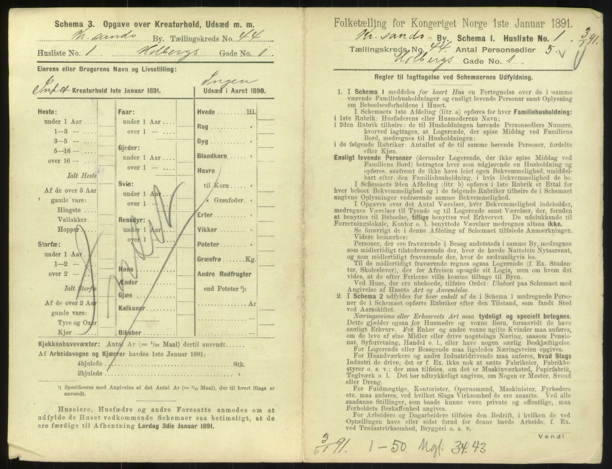 RA, 1891 census for 1001 Kristiansand, 1891, p. 2338