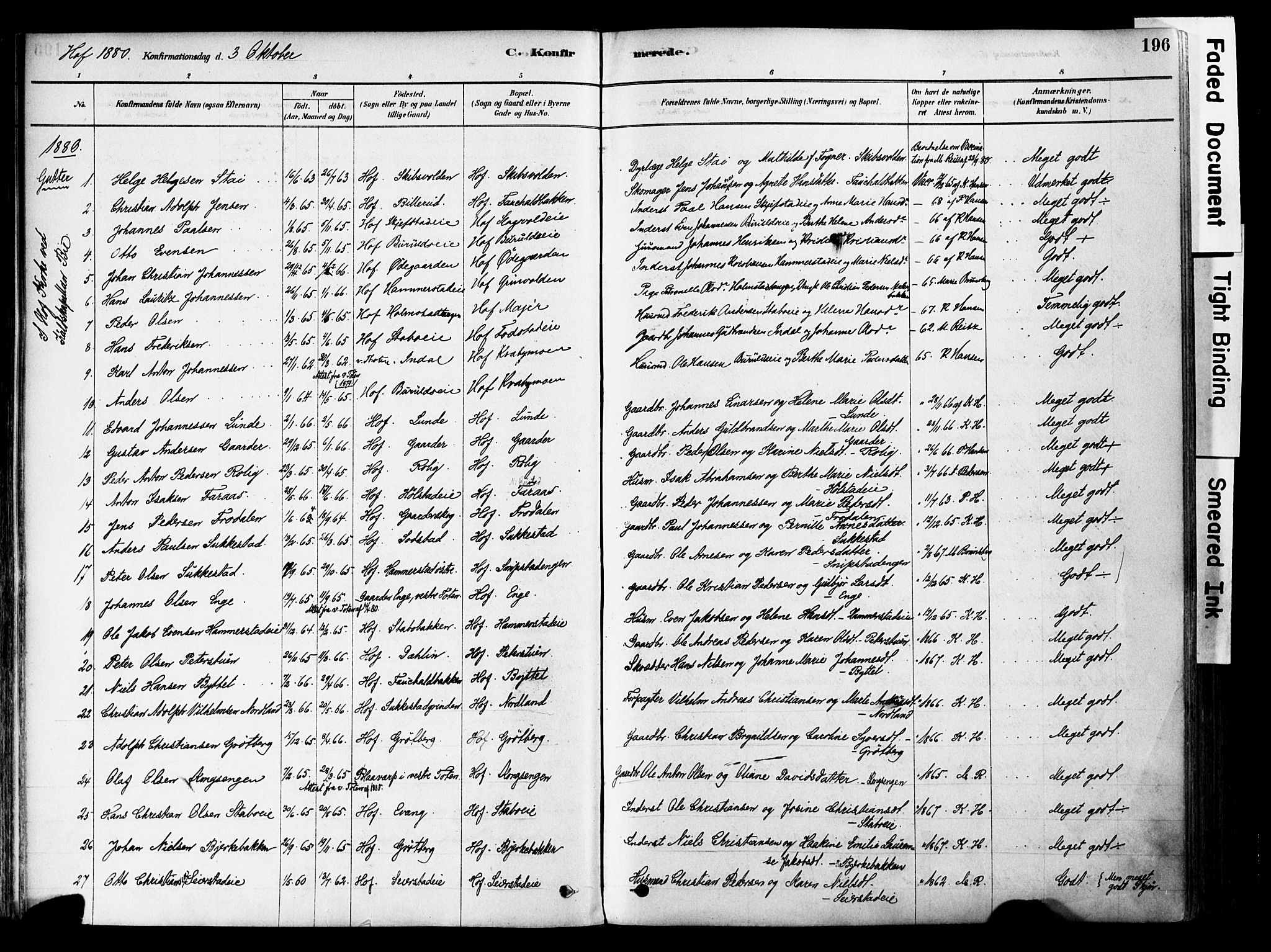 Østre Toten prestekontor, AV/SAH-PREST-104/H/Ha/Haa/L0006: Parish register (official) no. 6 /1, 1878-1896, p. 196