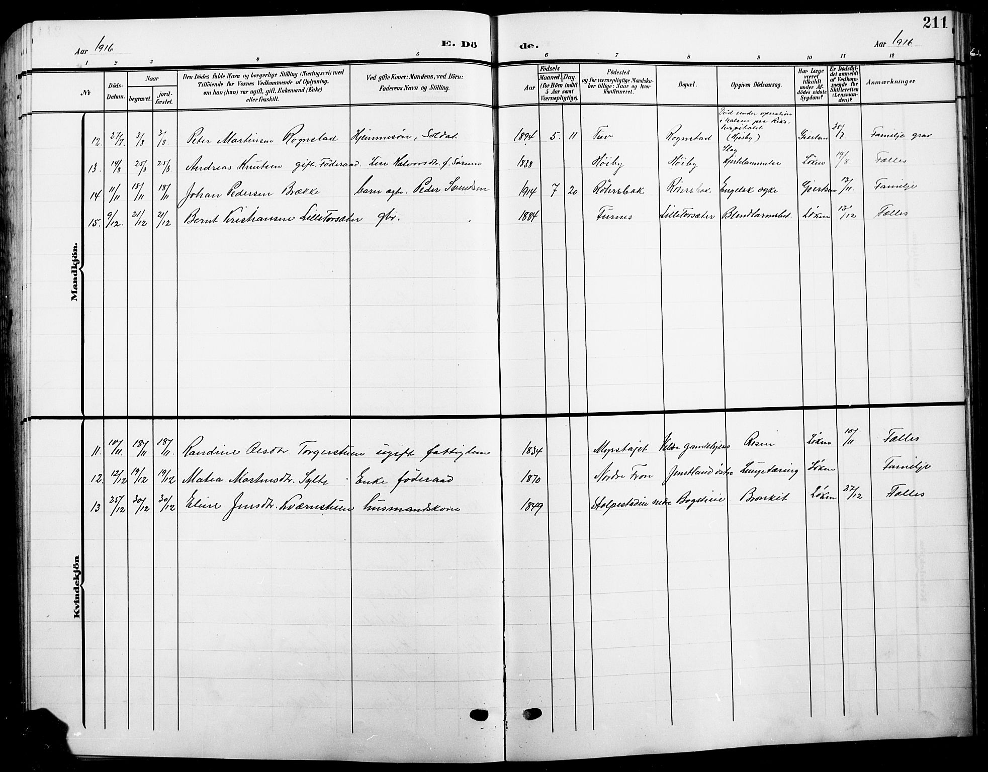 Ringsaker prestekontor, SAH/PREST-014/L/La/L0017: Parish register (copy) no. 17, 1905-1920, p. 211