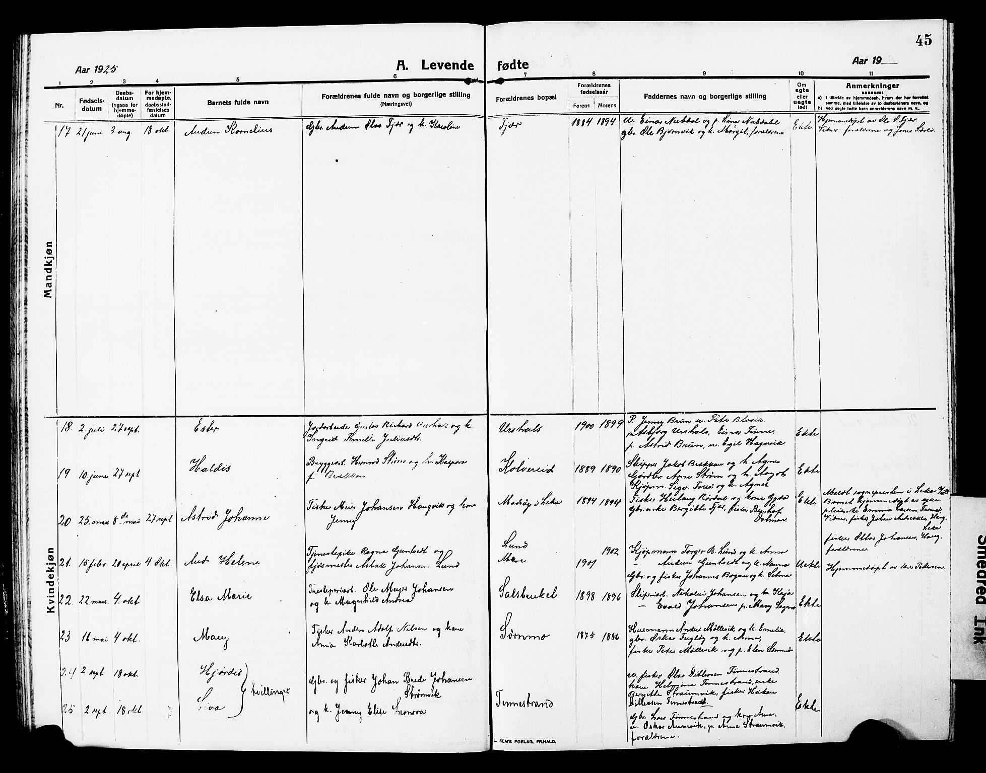 Ministerialprotokoller, klokkerbøker og fødselsregistre - Nord-Trøndelag, AV/SAT-A-1458/780/L0653: Parish register (copy) no. 780C05, 1911-1927, p. 45