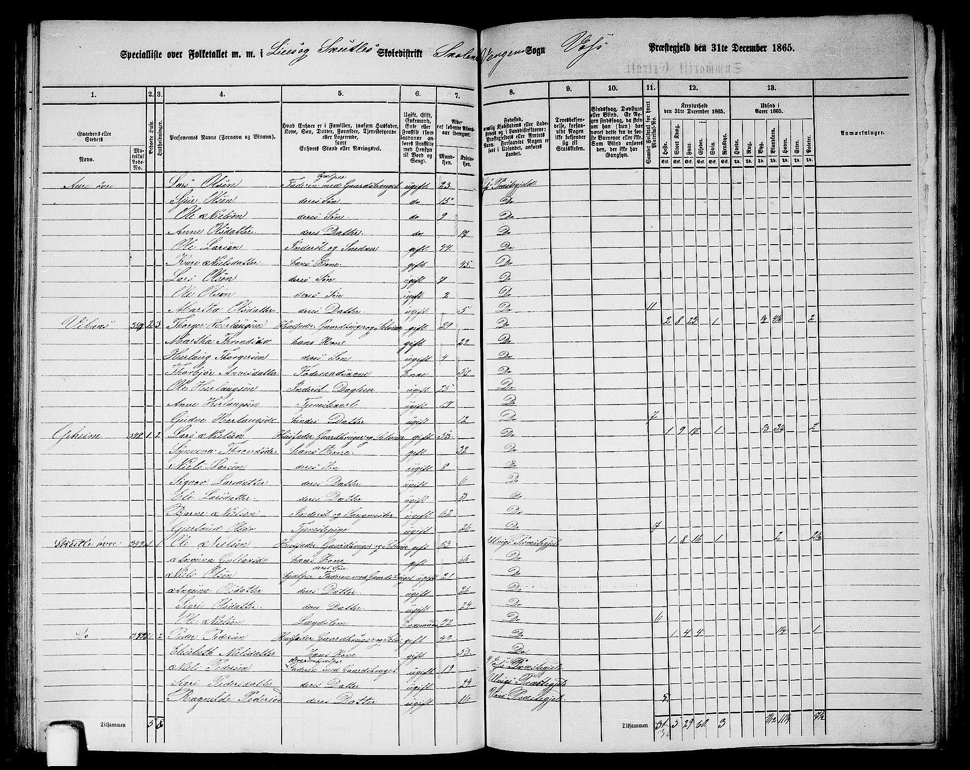 RA, 1865 census for Voss, 1865, p. 160