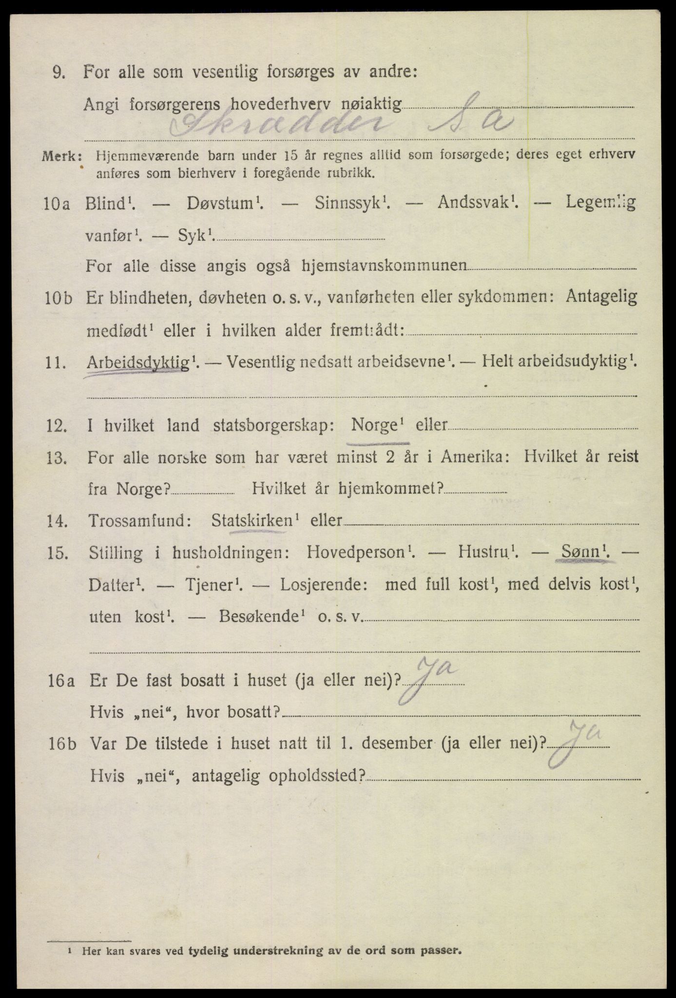 SAH, 1920 census for Dovre, 1920, p. 1245