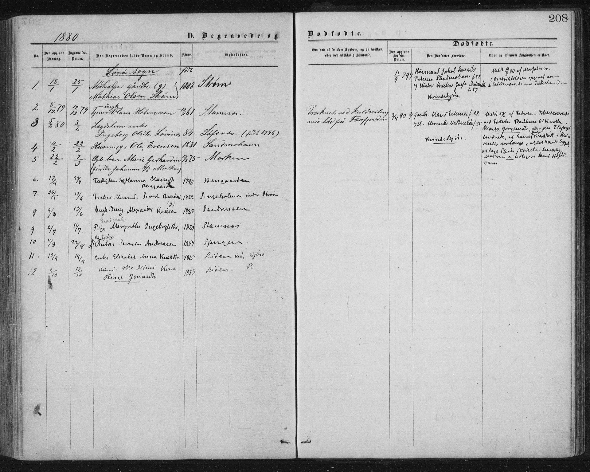 Ministerialprotokoller, klokkerbøker og fødselsregistre - Nord-Trøndelag, SAT/A-1458/771/L0596: Parish register (official) no. 771A03, 1870-1884, p. 208