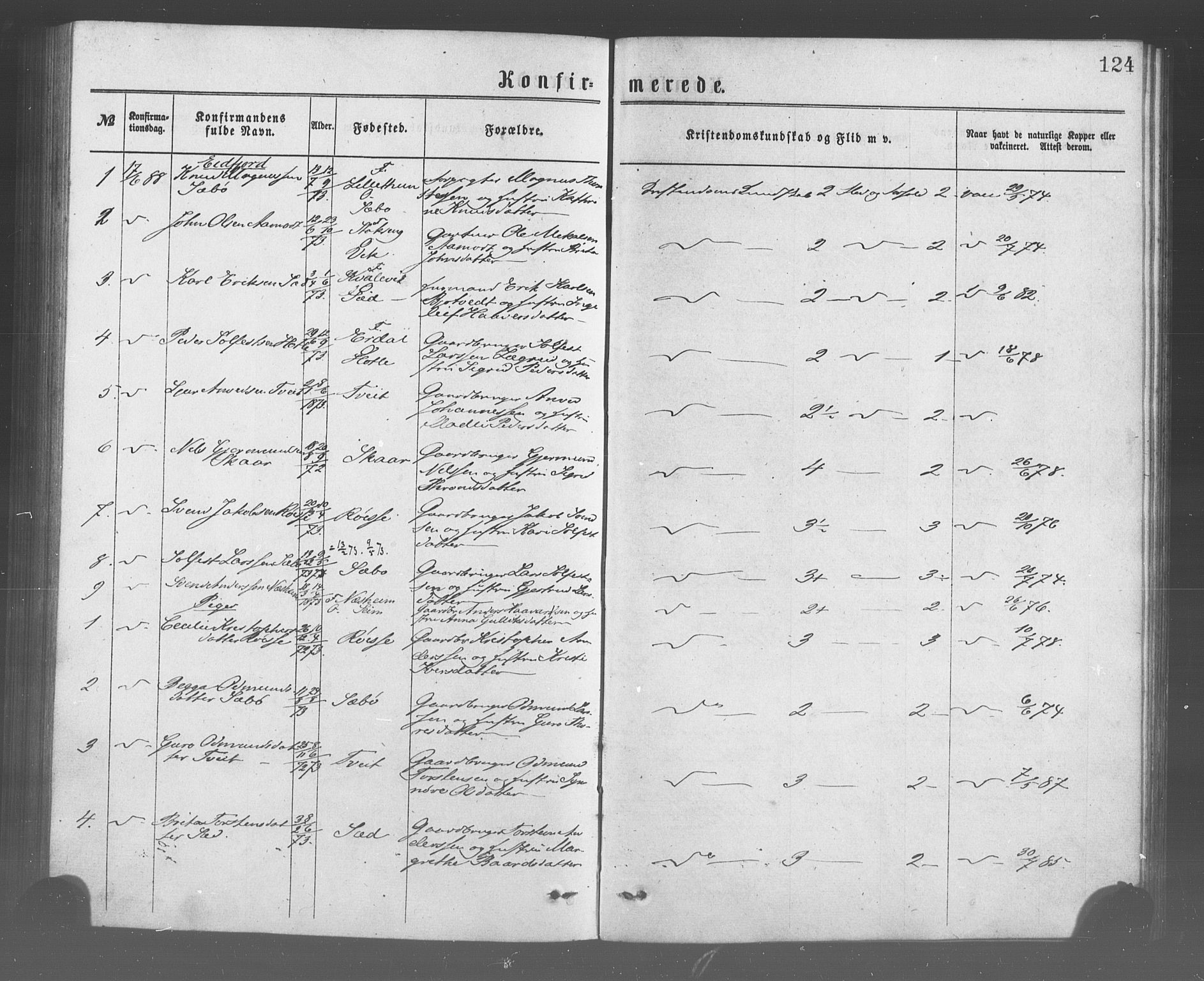 Ulvik sokneprestembete, SAB/A-78801/H/Haa: Parish register (official) no. A 17, 1873-1891, p. 124