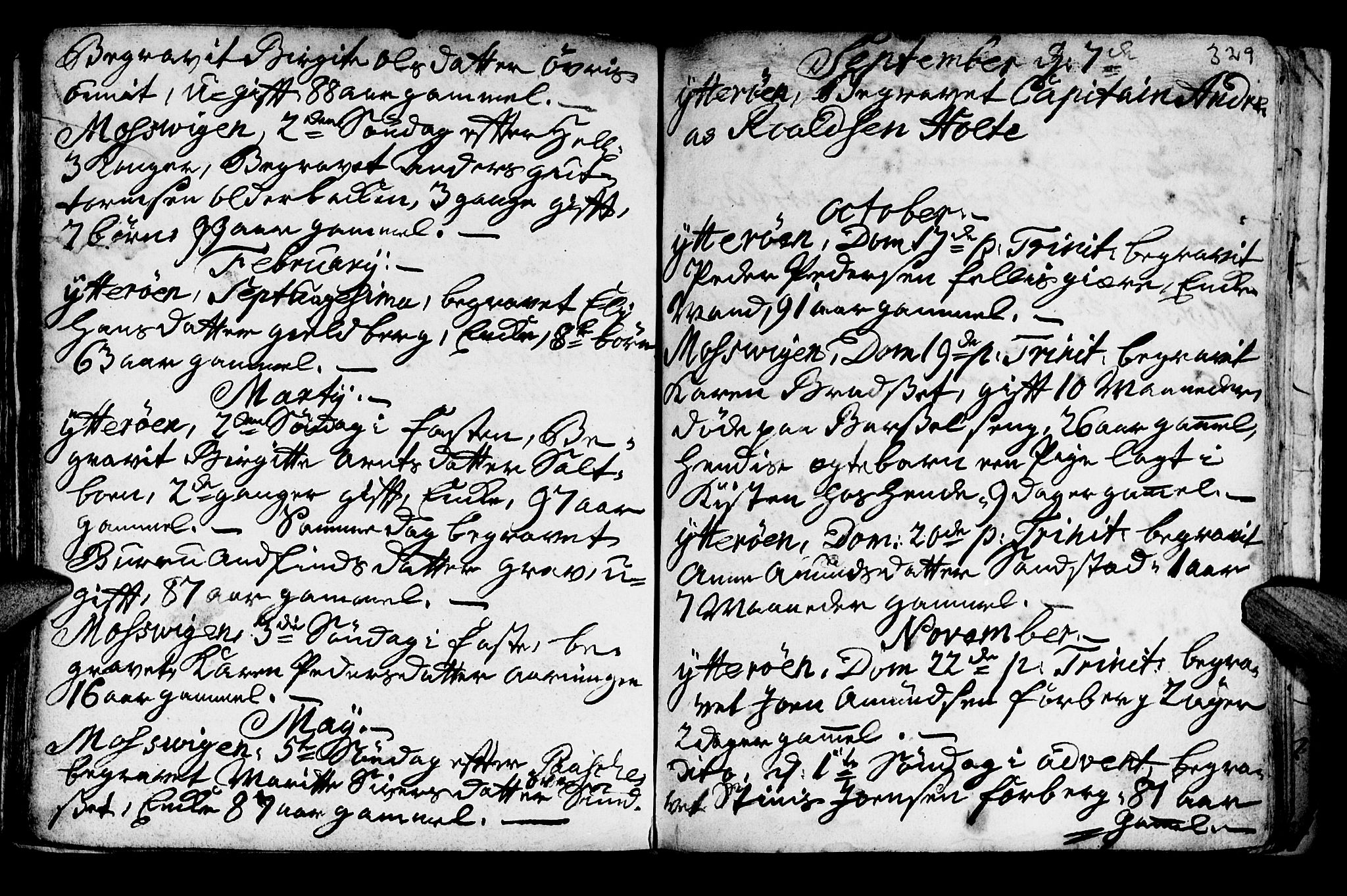 Ministerialprotokoller, klokkerbøker og fødselsregistre - Nord-Trøndelag, SAT/A-1458/722/L0215: Parish register (official) no. 722A02, 1718-1755, p. 329