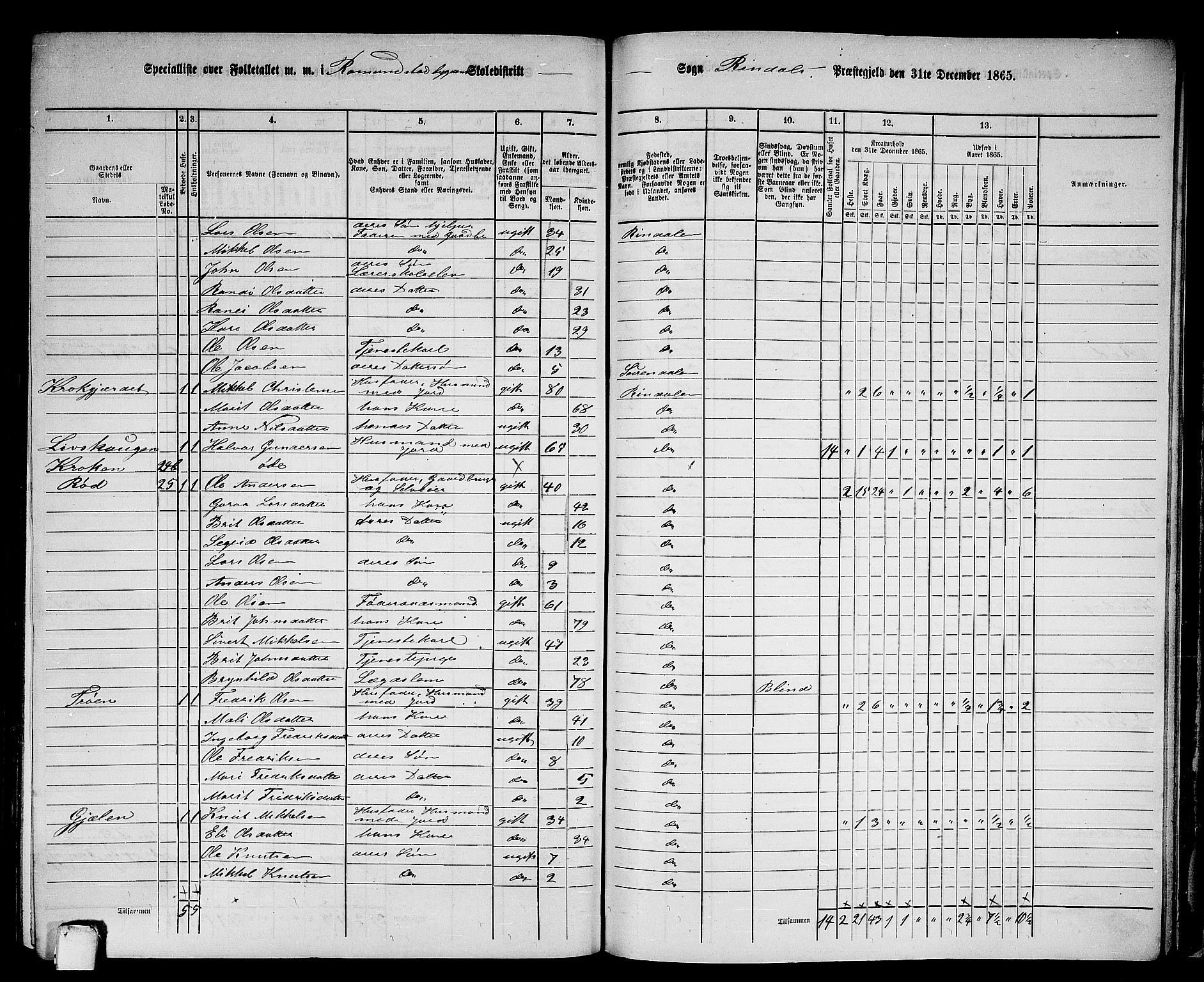 RA, 1865 census for Rindal, 1865, p. 83