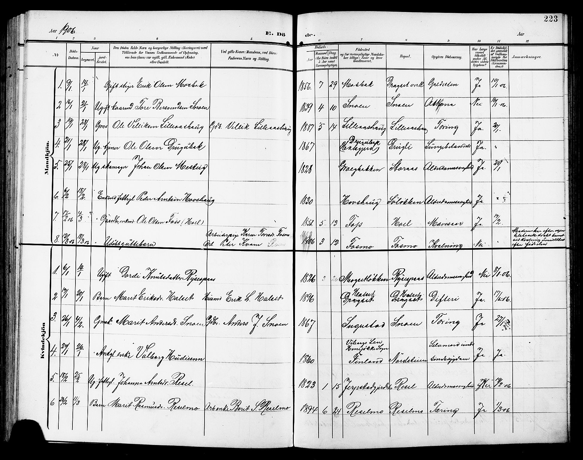 Ministerialprotokoller, klokkerbøker og fødselsregistre - Sør-Trøndelag, AV/SAT-A-1456/672/L0864: Parish register (copy) no. 672C03, 1902-1914, p. 223