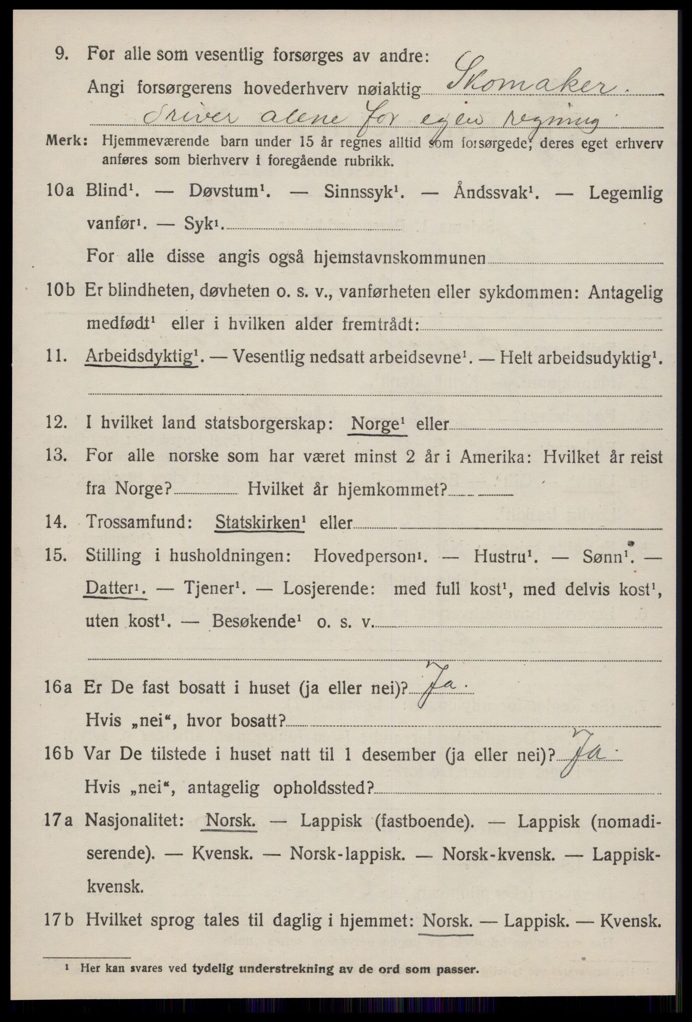 SAT, 1920 census for Horg, 1920, p. 3053