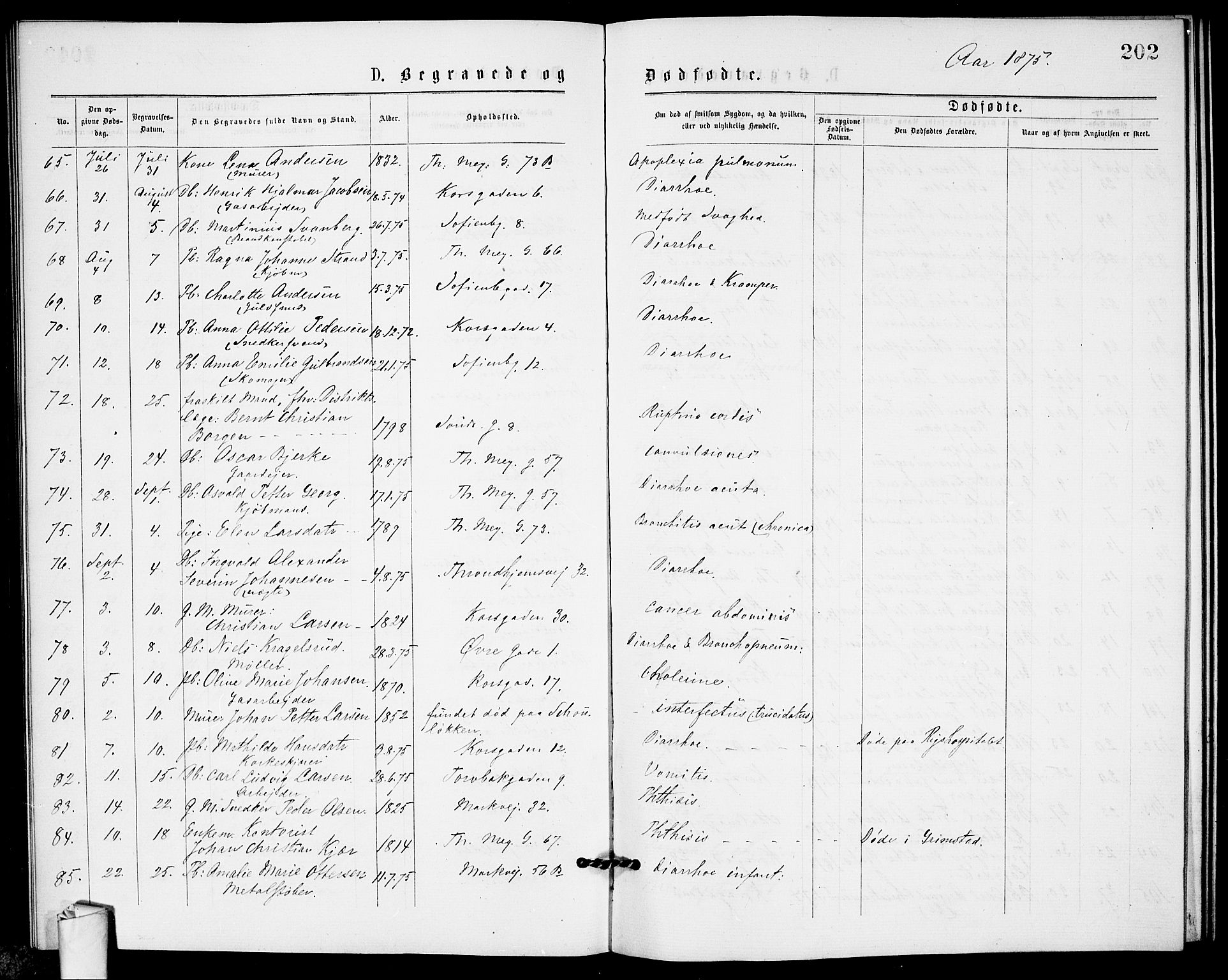 Paulus prestekontor Kirkebøker, AV/SAO-A-10871/G/Ga/L0001: Parish register (copy) no. 1, 1875-1878, p. 202