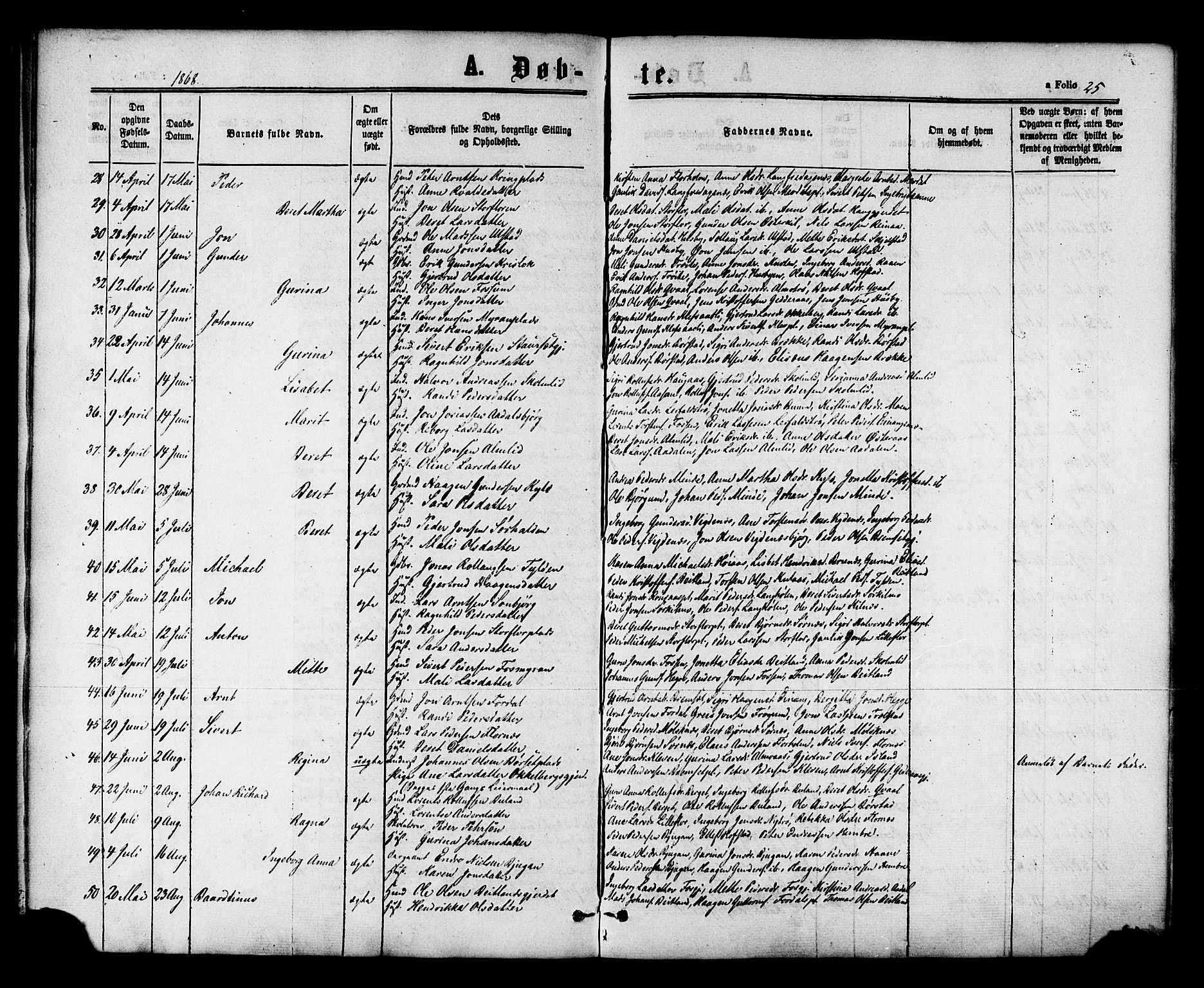 Ministerialprotokoller, klokkerbøker og fødselsregistre - Nord-Trøndelag, SAT/A-1458/703/L0029: Parish register (official) no. 703A02, 1863-1879, p. 25