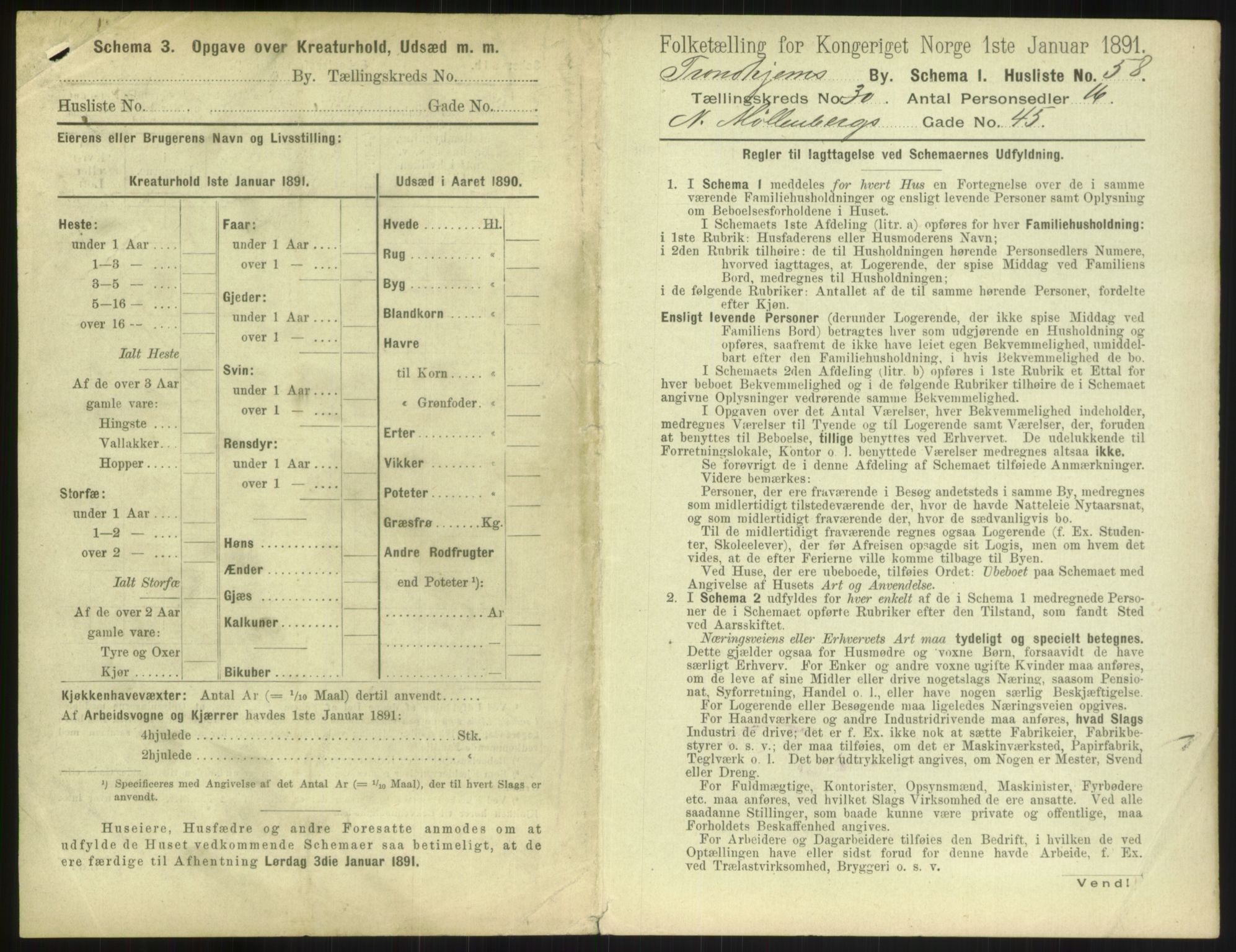 RA, 1891 census for 1601 Trondheim, 1891, p. 2308