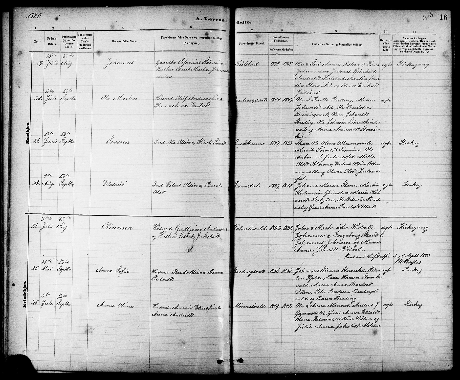 Ministerialprotokoller, klokkerbøker og fødselsregistre - Nord-Trøndelag, AV/SAT-A-1458/724/L0267: Parish register (copy) no. 724C03, 1879-1898, p. 16