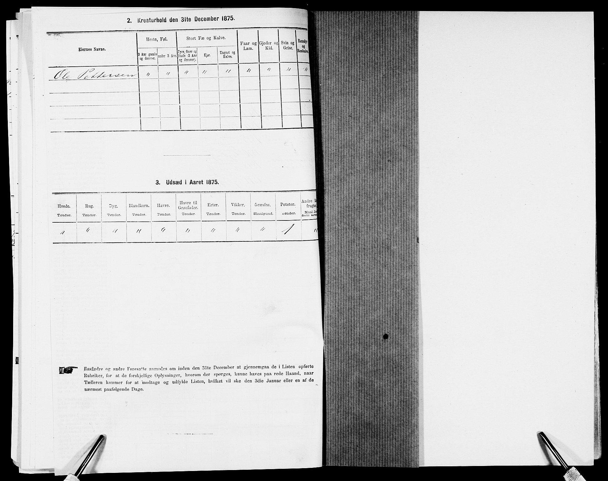 SAK, 1875 census for 0924P Homedal, 1875, p. 927