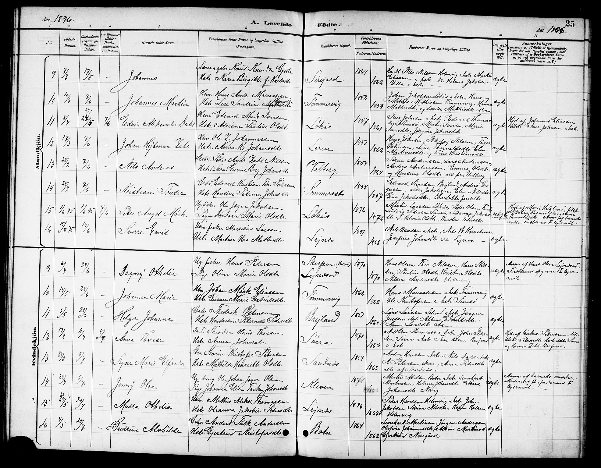 Ministerialprotokoller, klokkerbøker og fødselsregistre - Nordland, SAT/A-1459/831/L0478: Parish register (copy) no. 831C05, 1892-1909, p. 25