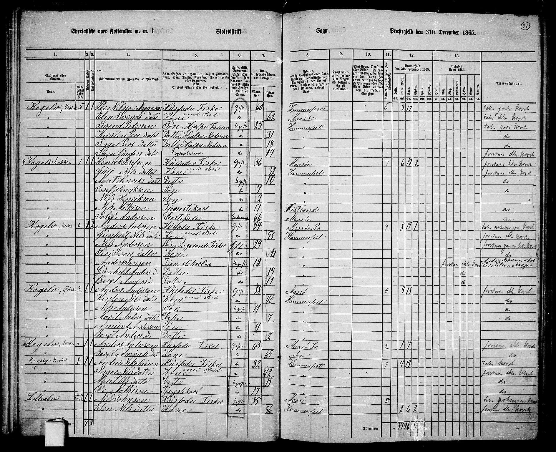 RA, 1865 census for Hammerfest/Hammerfest, 1865, p. 20