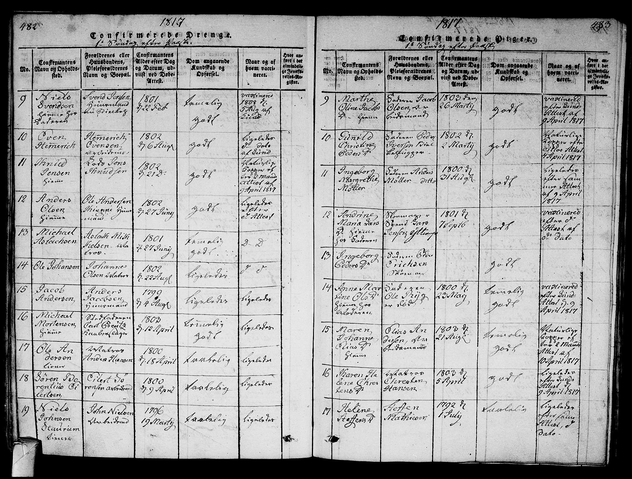 Strømsø kirkebøker, AV/SAKO-A-246/G/Ga/L0001: Parish register (copy) no. 1, 1815-1829, p. 482-483