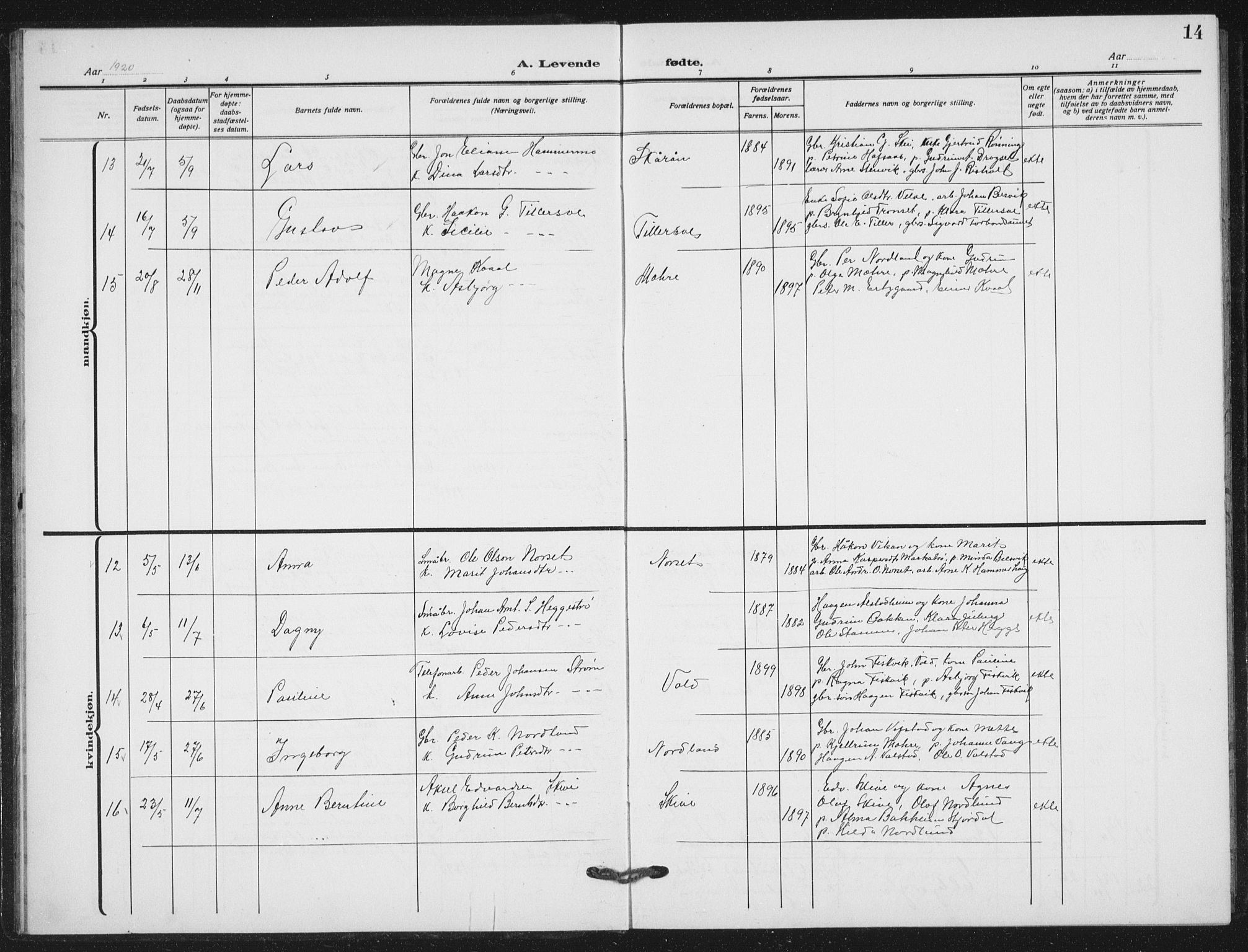 Ministerialprotokoller, klokkerbøker og fødselsregistre - Nord-Trøndelag, AV/SAT-A-1458/712/L0104: Parish register (copy) no. 712C02, 1917-1939, p. 14