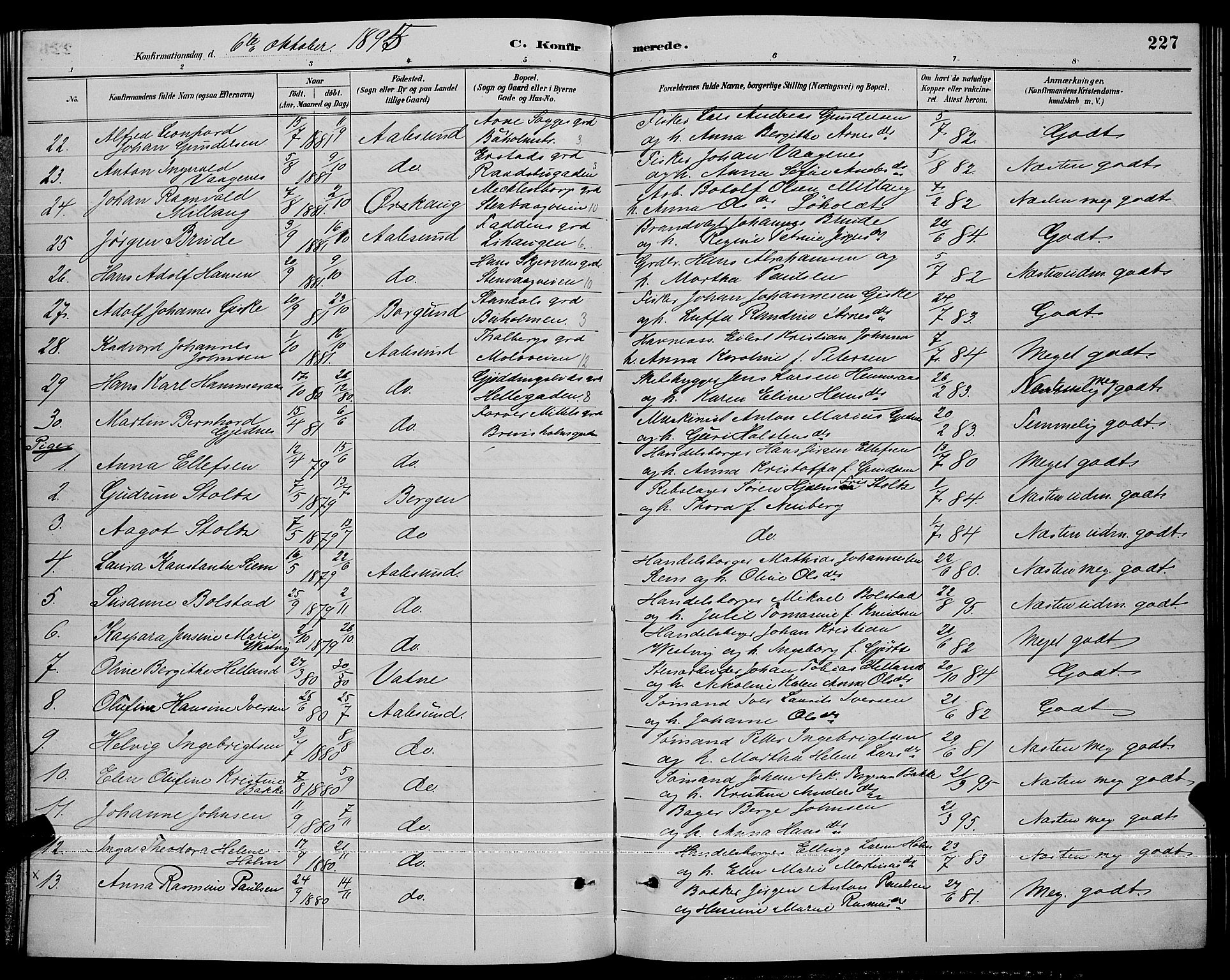 Ministerialprotokoller, klokkerbøker og fødselsregistre - Møre og Romsdal, AV/SAT-A-1454/529/L0467: Parish register (copy) no. 529C04, 1889-1897, p. 227