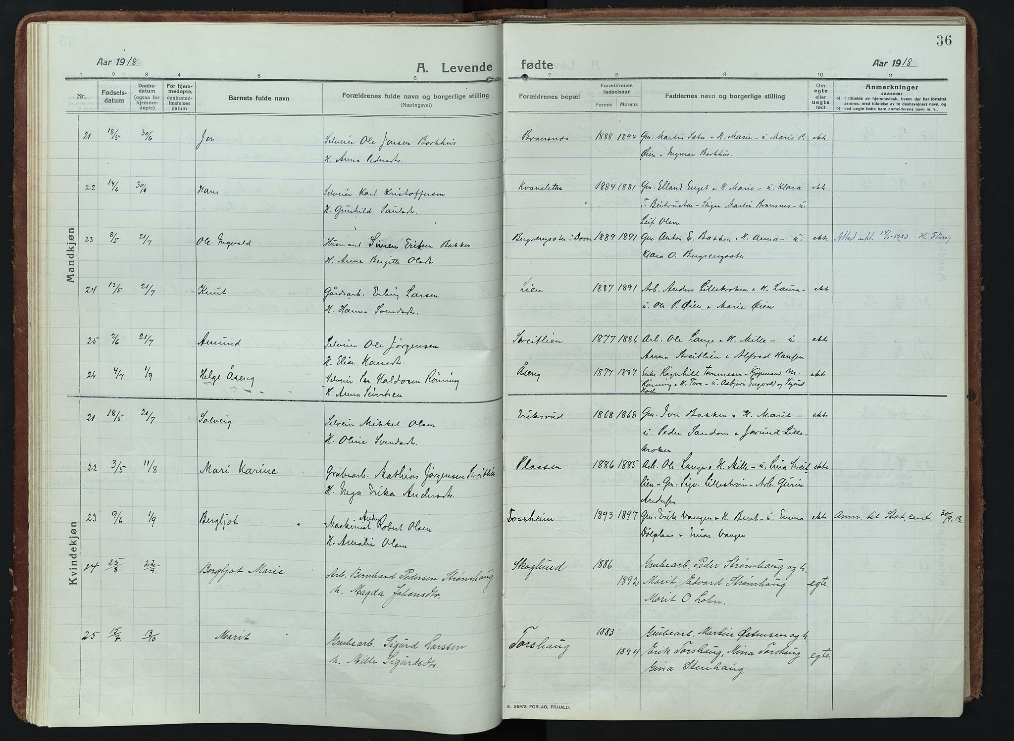 Alvdal prestekontor, AV/SAH-PREST-060/H/Ha/Haa/L0005: Parish register (official) no. 5, 1913-1930, p. 36