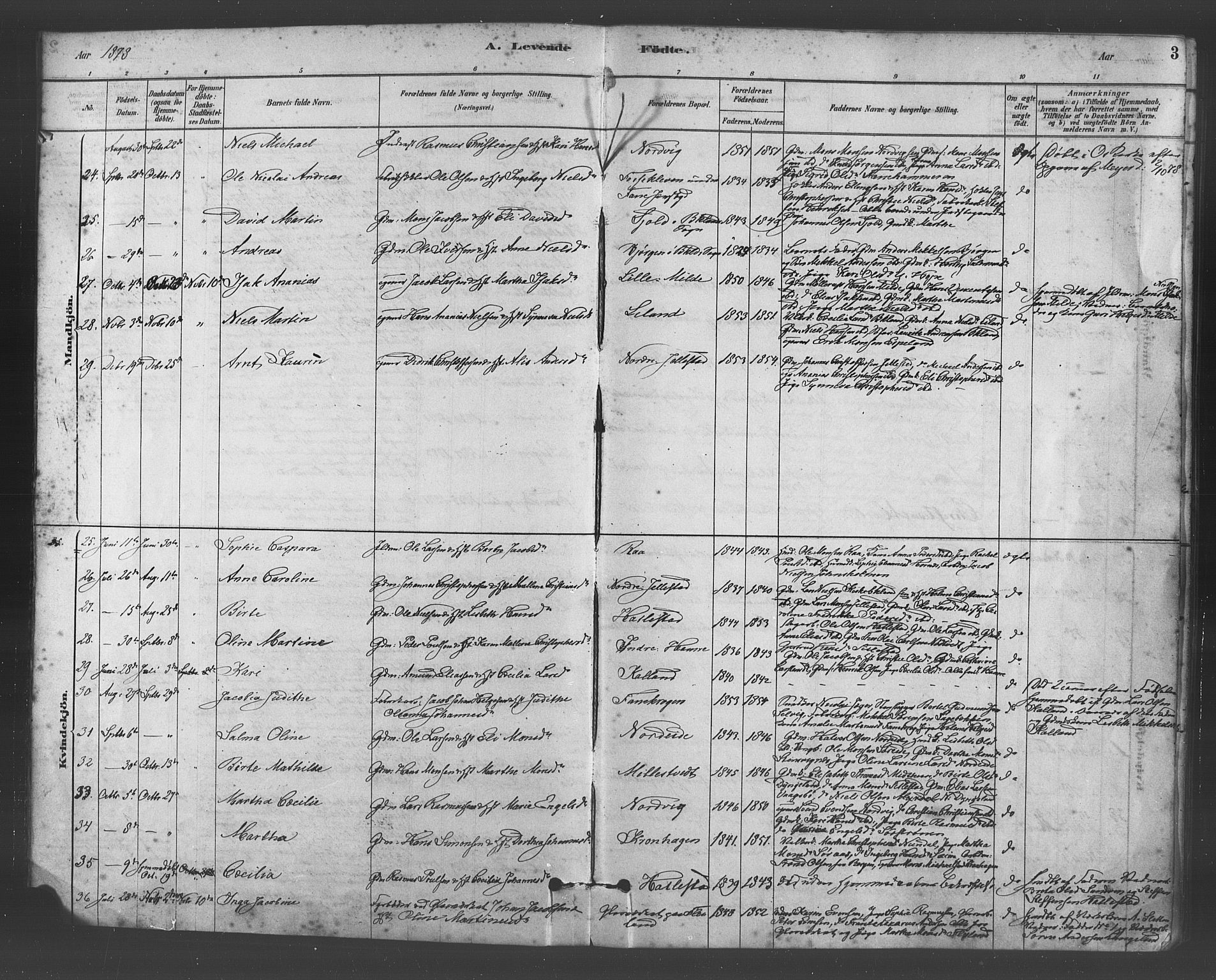 Fana Sokneprestembete, AV/SAB-A-75101/H/Haa/Haab/L0001: Parish register (official) no. B 1, 1878-1889, p. 3