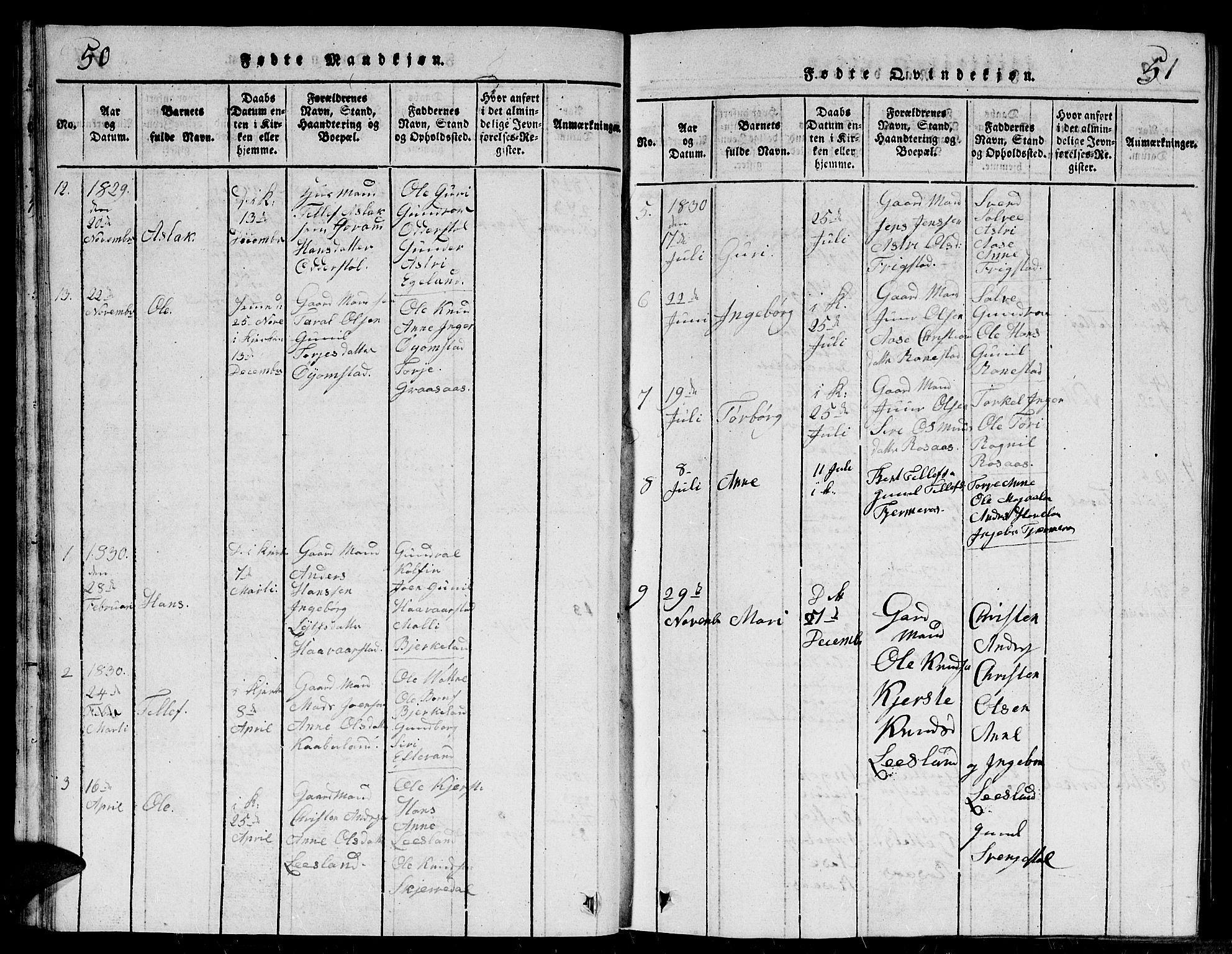 Evje sokneprestkontor, AV/SAK-1111-0008/F/Fb/Fbc/L0001: Parish register (copy) no. B 1, 1816-1836, p. 50-51