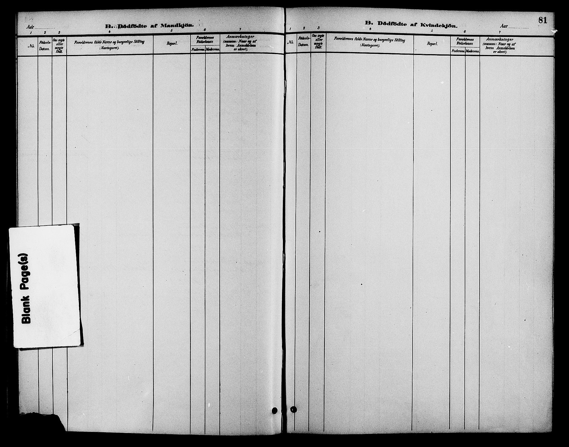 Gjerstad sokneprestkontor, AV/SAK-1111-0014/F/Fa/Faa/L0009: Parish register (official) no. A 9, 1885-1890, p. 81