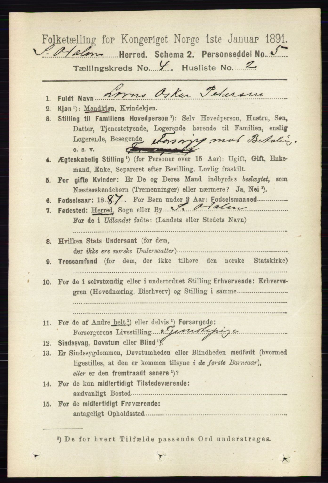 RA, 1891 census for 0419 Sør-Odal, 1891, p. 1750