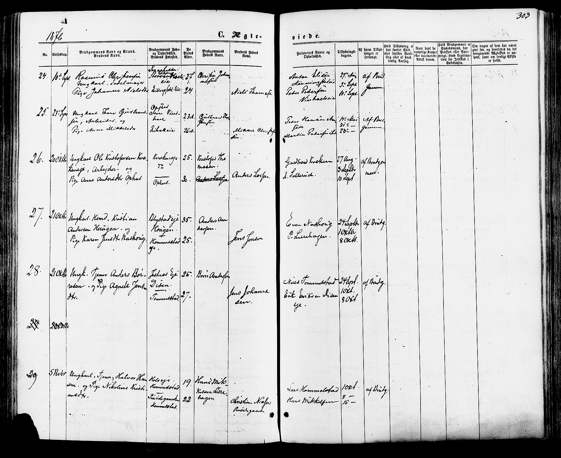 Vang prestekontor, Hedmark, AV/SAH-PREST-008/H/Ha/Haa/L0015: Parish register (official) no. 15, 1871-1885, p. 303