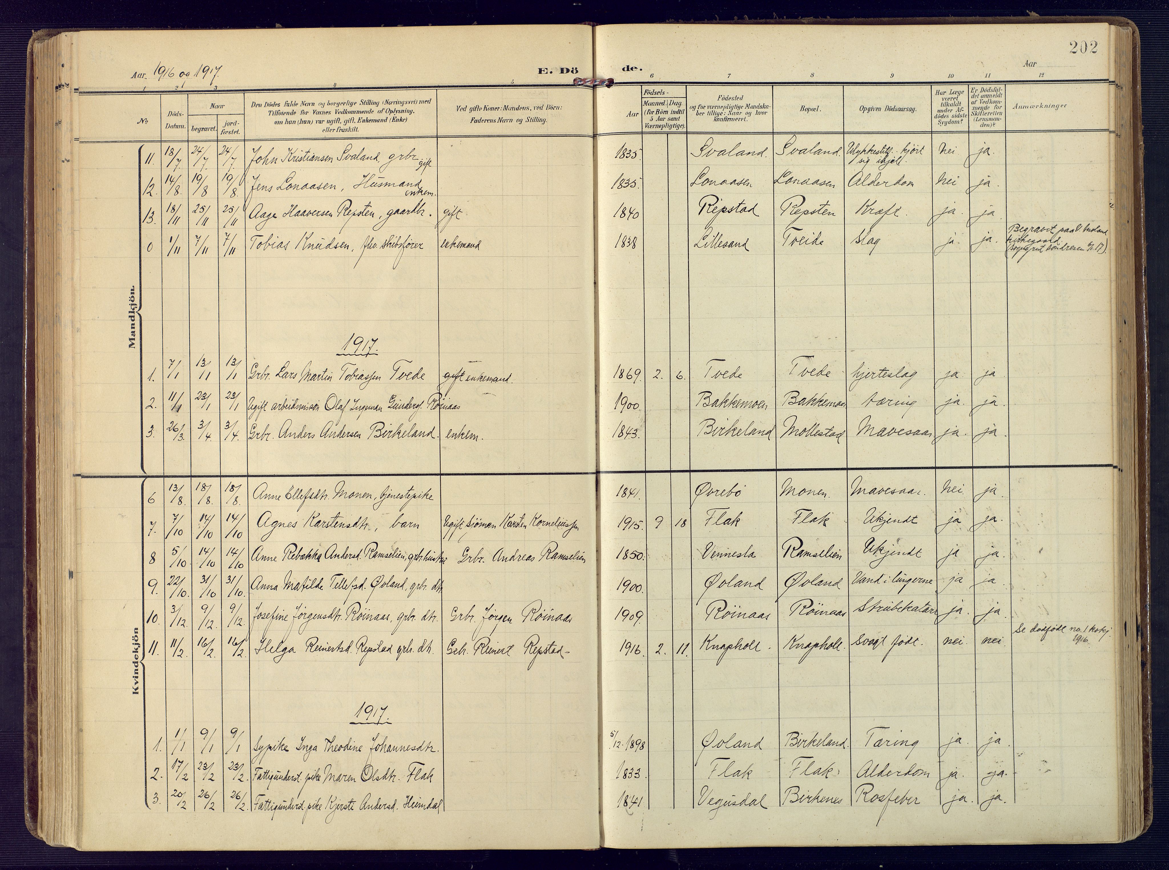 Birkenes sokneprestkontor, SAK/1111-0004/F/Fa/L0006: Parish register (official) no. A 6, 1908-1932, p. 202