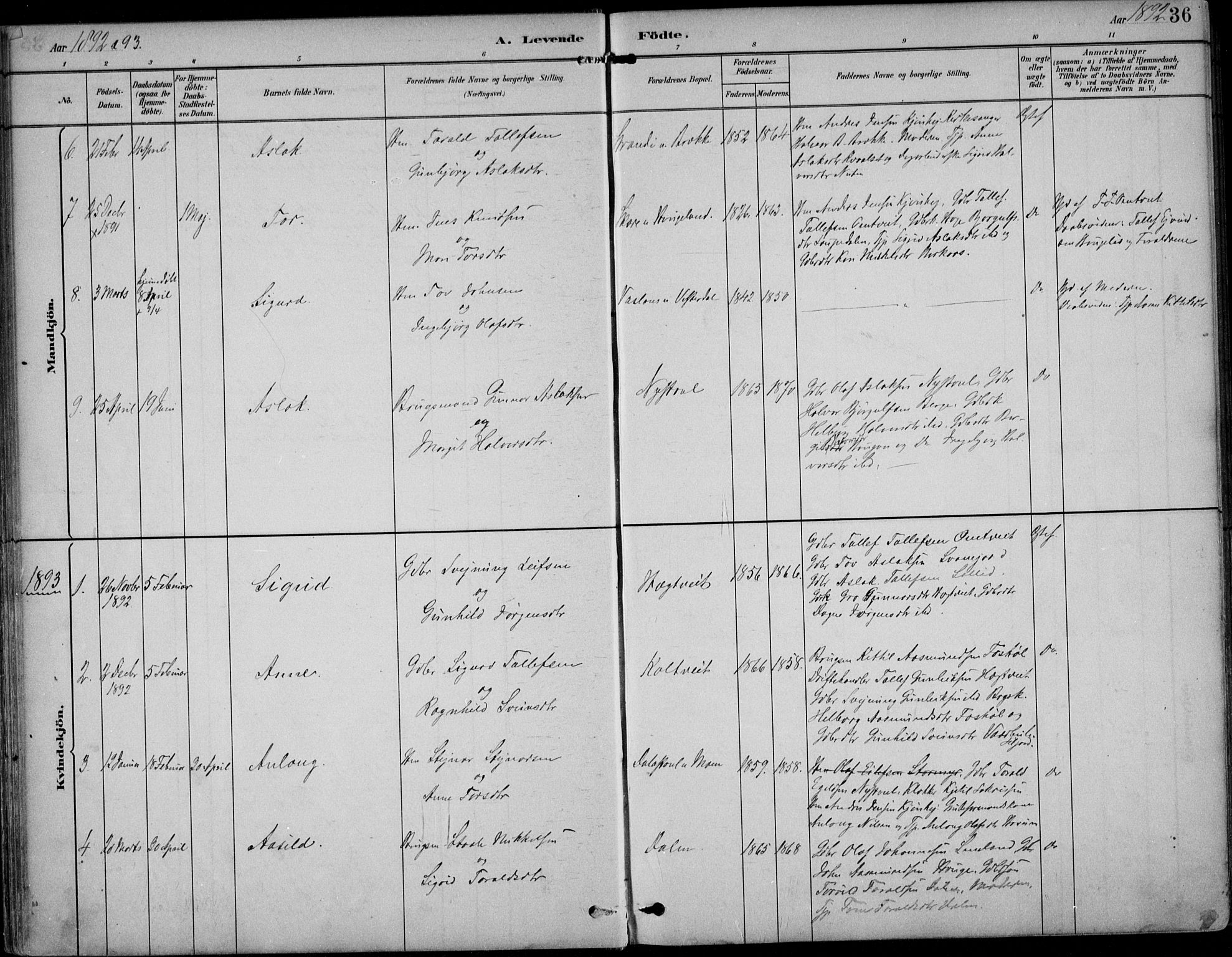 Kviteseid kirkebøker, SAKO/A-276/F/Fb/L0002: Parish register (official) no. II 2, 1882-1916, p. 36