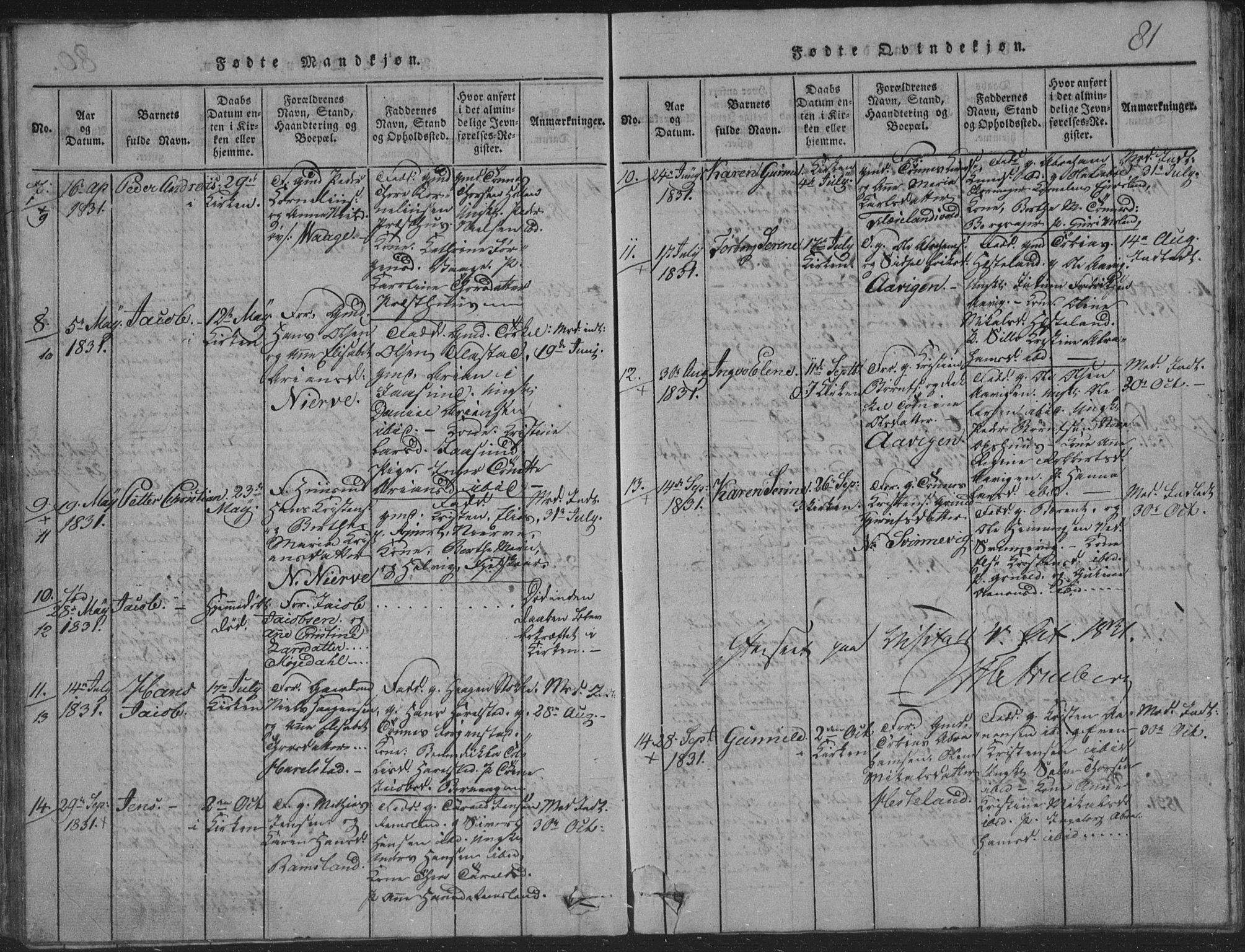 Sør-Audnedal sokneprestkontor, AV/SAK-1111-0039/F/Fb/Fba/L0001: Parish register (copy) no. B 1, 1815-1850, p. 81