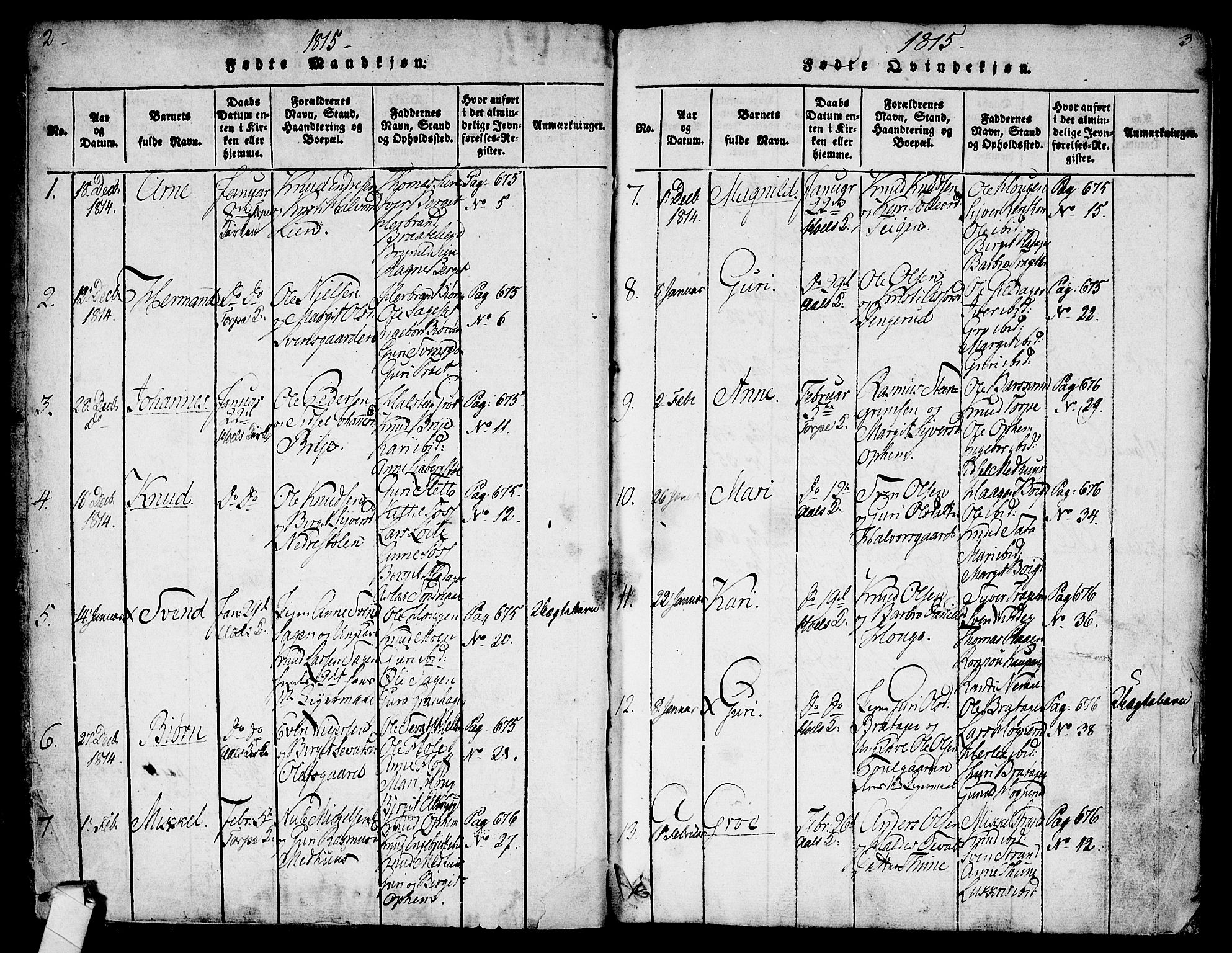 Ål kirkebøker, AV/SAKO-A-249/F/Fa/L0004: Parish register (official) no. I 4, 1815-1825, p. 2-3