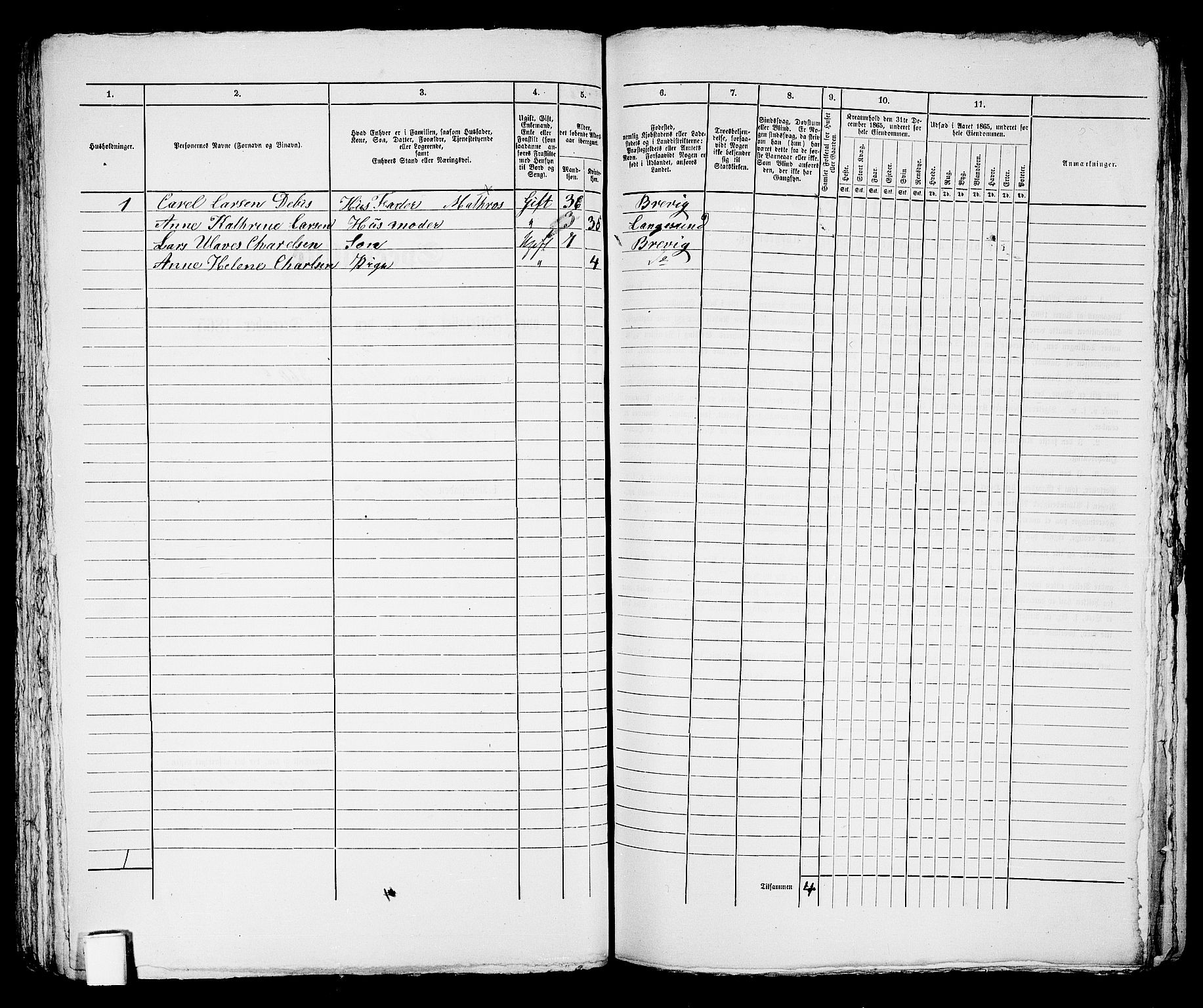 RA, 1865 census for Brevik, 1865, p. 133