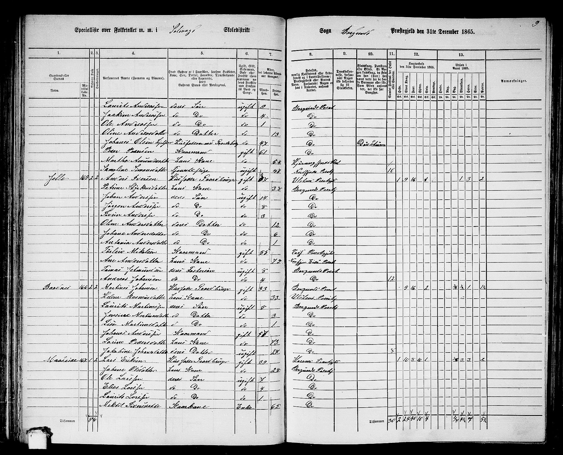 RA, 1865 census for Borgund, 1865, p. 91