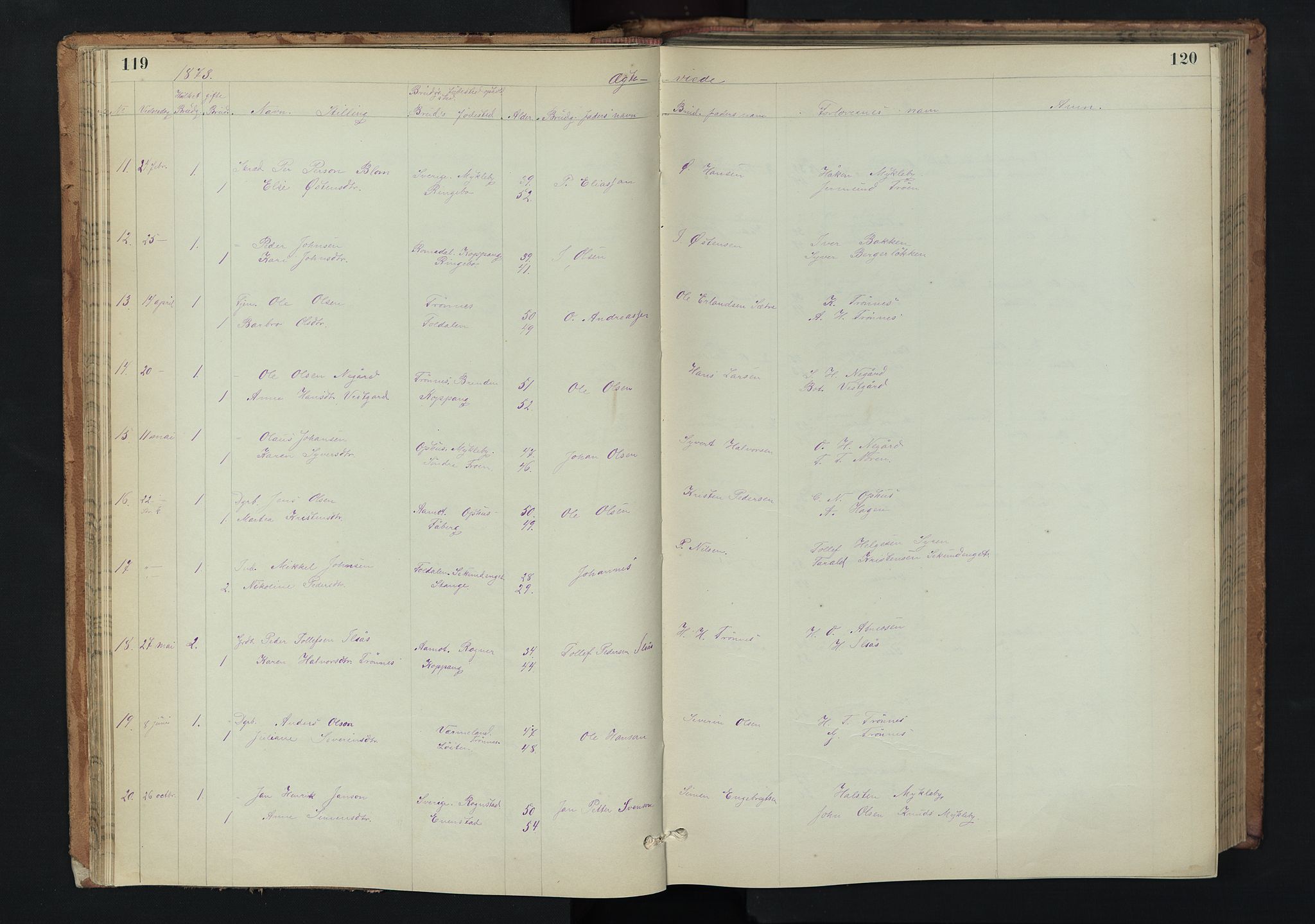 Stor-Elvdal prestekontor, AV/SAH-PREST-052/H/Ha/Hab/L0002: Parish register (copy) no. 2, 1860-1894, p. 119-120