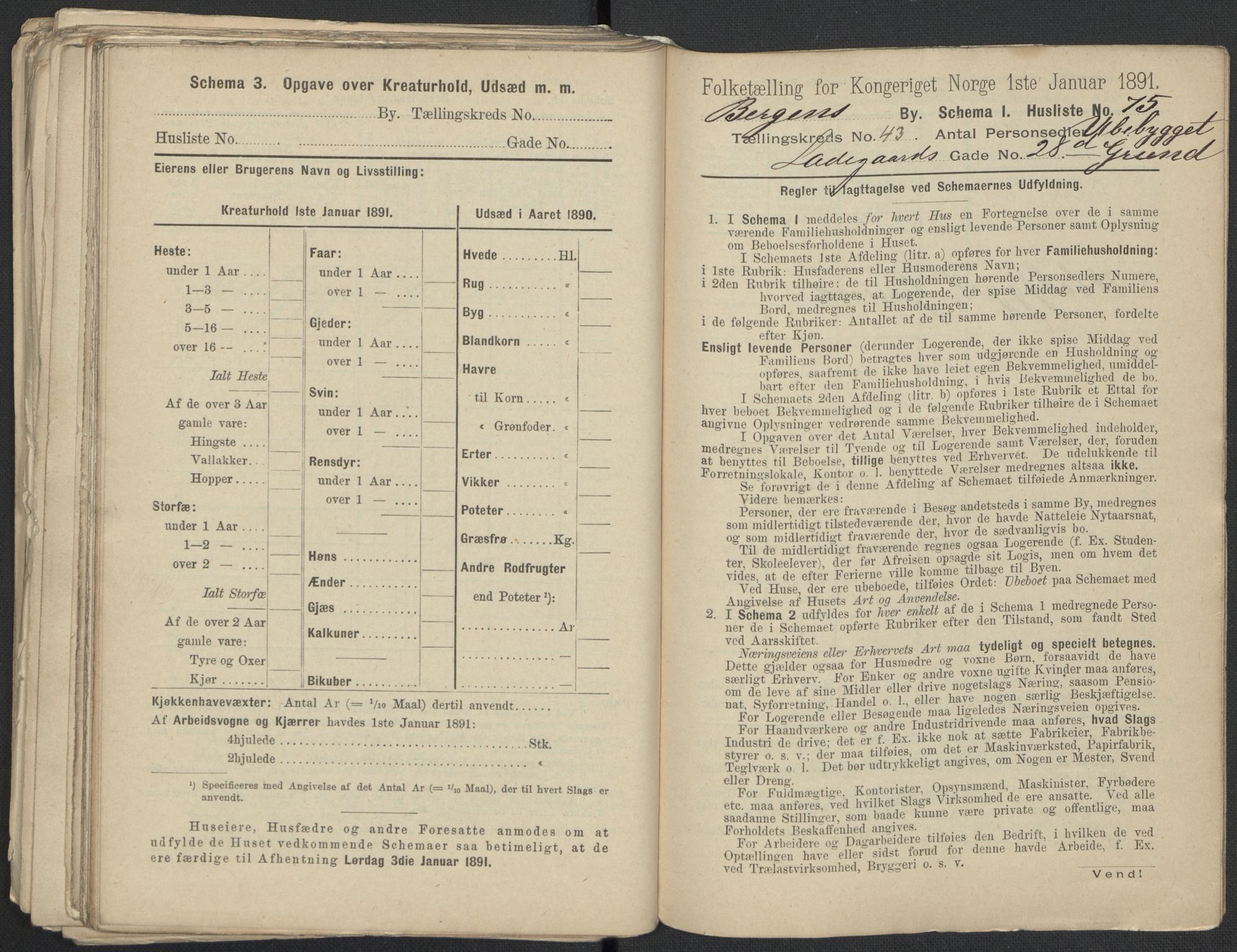 RA, 1891 Census for 1301 Bergen, 1891, p. 7323