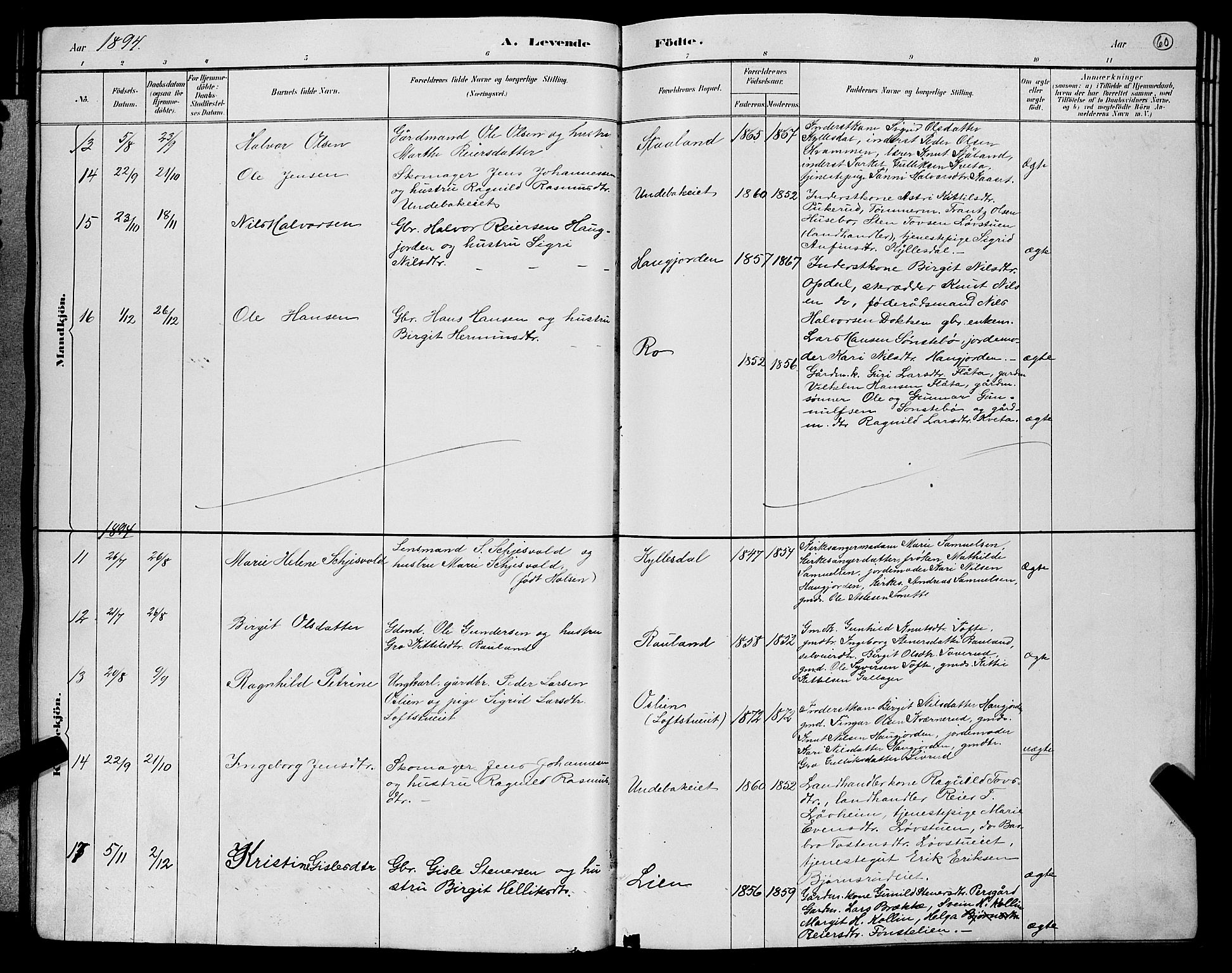Nore kirkebøker, SAKO/A-238/G/Gb/L0002: Parish register (copy) no. II 2, 1878-1894, p. 60