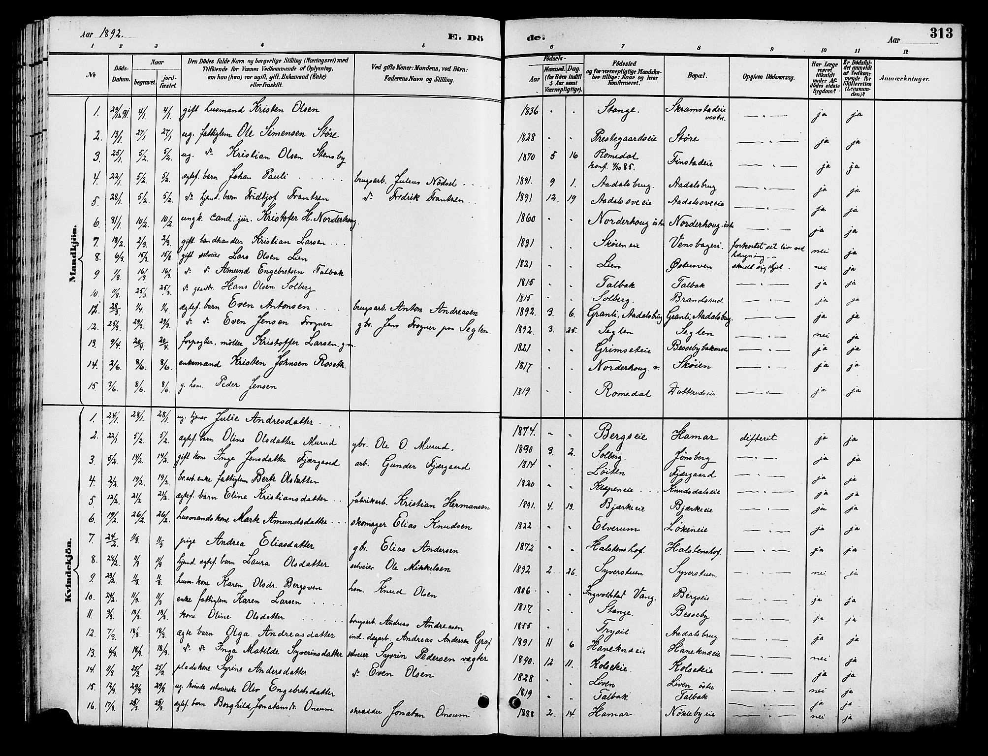 Løten prestekontor, AV/SAH-PREST-022/L/La/L0006: Parish register (copy) no. 6, 1892-1909, p. 313