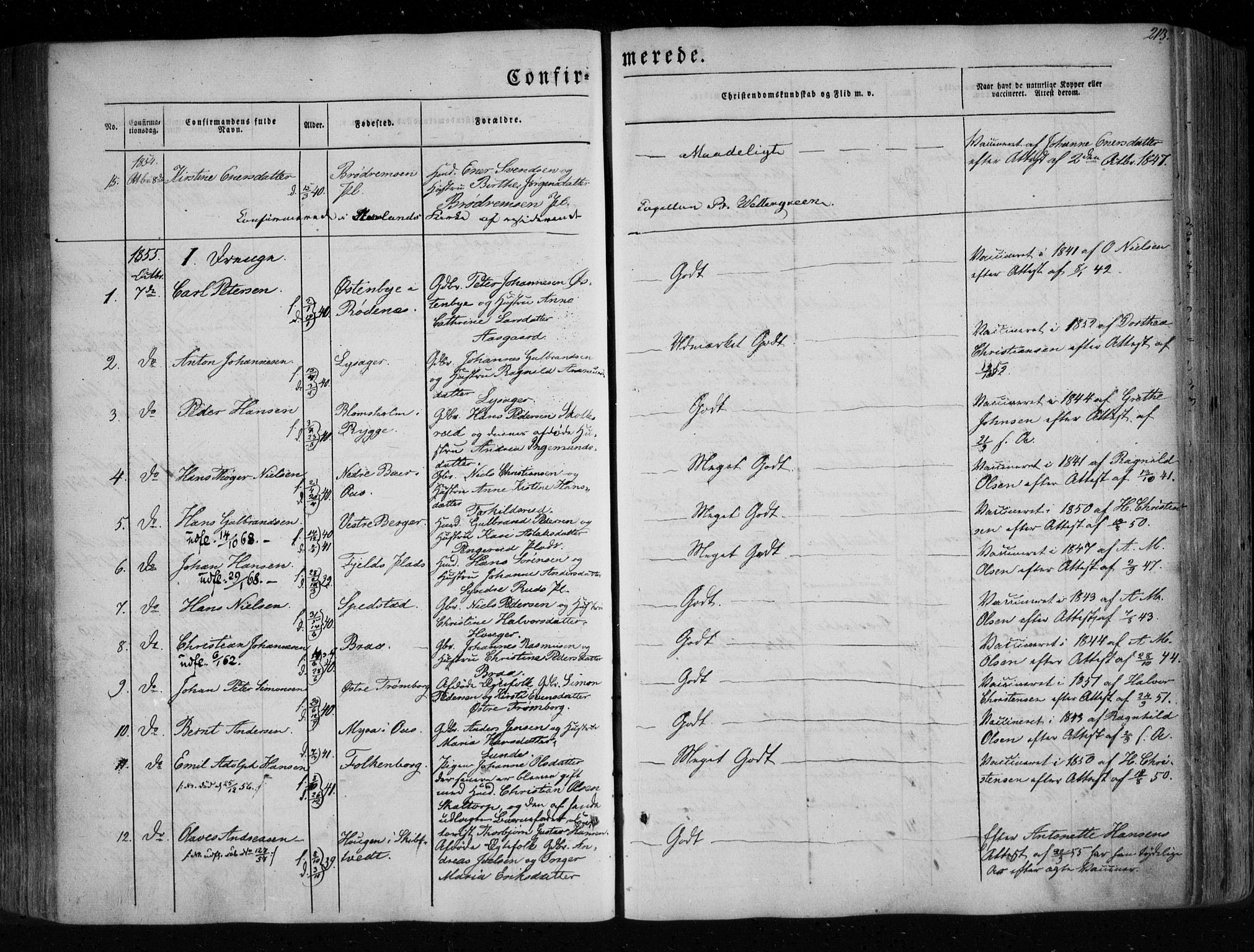 Eidsberg prestekontor Kirkebøker, SAO/A-10905/F/Fa/L0009: Parish register (official) no. I 9, 1849-1856, p. 213