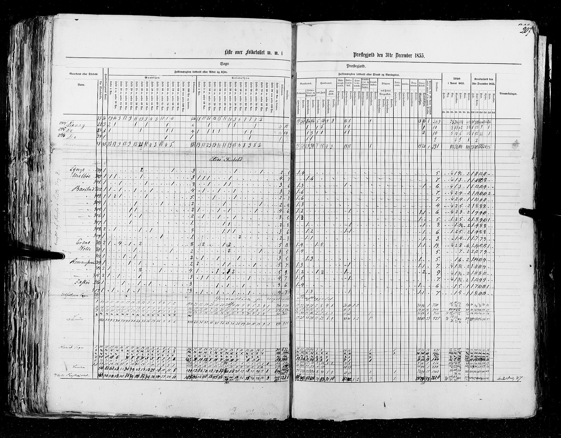 RA, Census 1855, vol. 5: Nordre Bergenhus amt, Romsdal amt og Søndre Trondhjem amt, 1855, p. 207