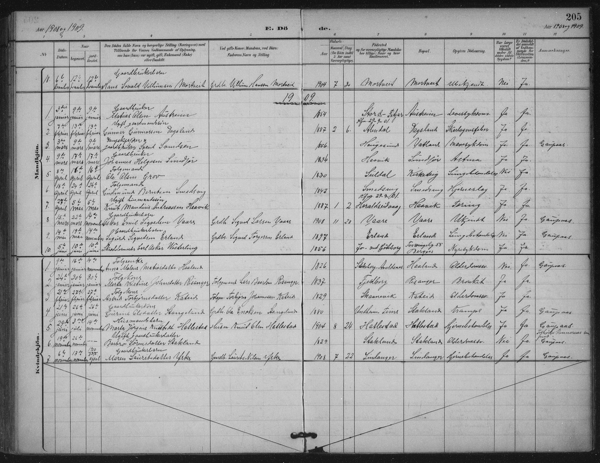 Skjold sokneprestkontor, AV/SAST-A-101847/H/Ha/Haa/L0011: Parish register (official) no. A 11, 1897-1914, p. 205