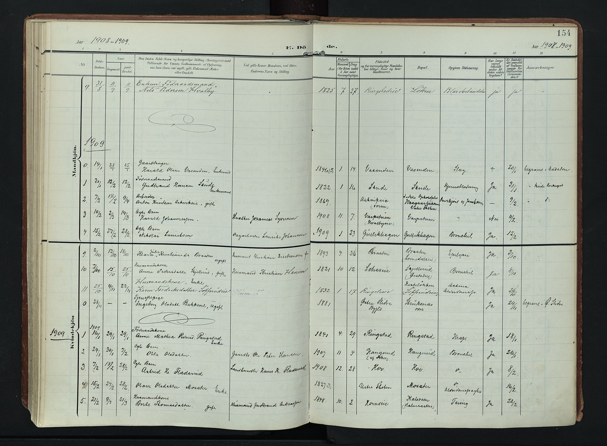Søndre Land prestekontor, SAH/PREST-122/K/L0007: Parish register (official) no. 7, 1905-1914, p. 154