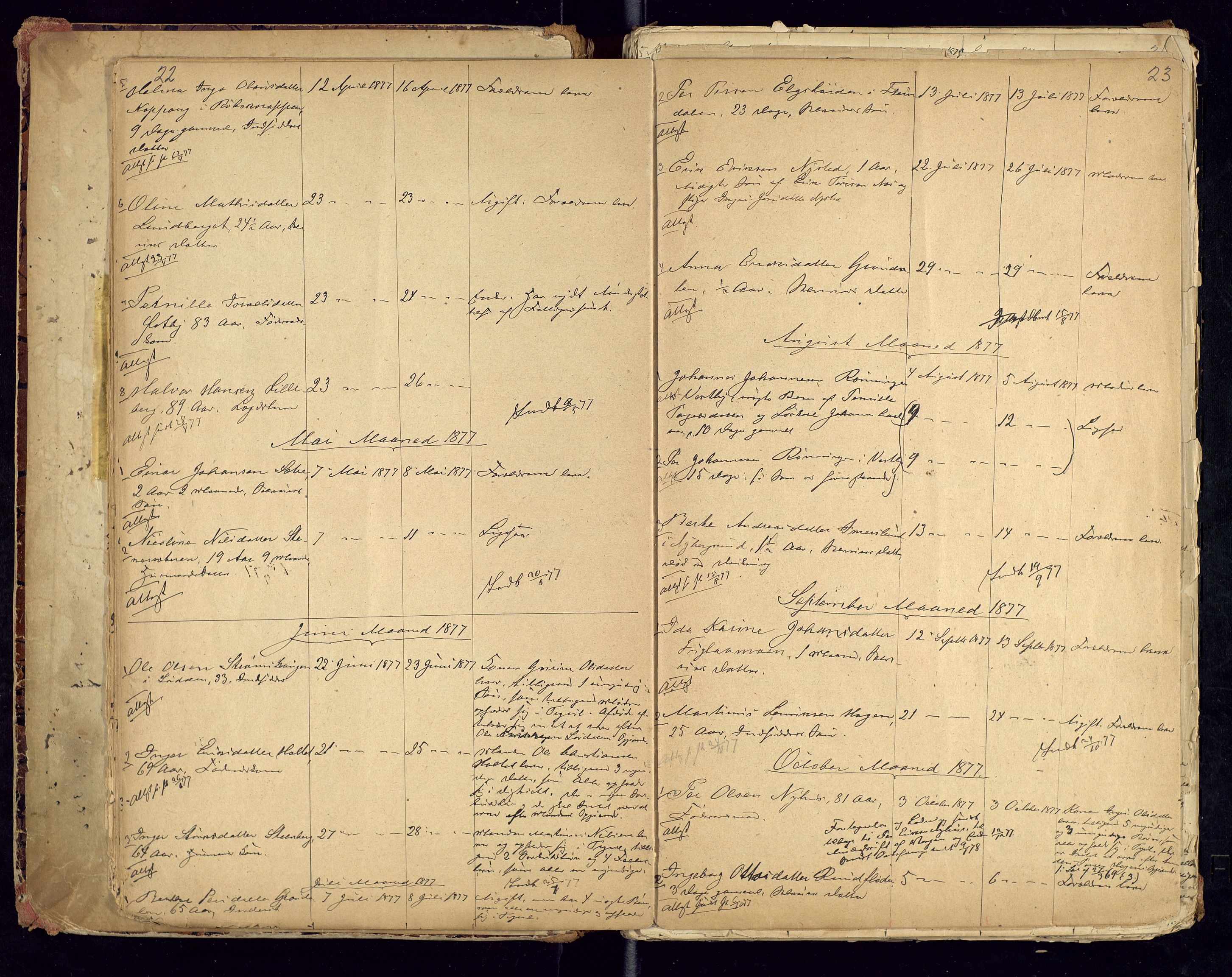 Trysil lensmannskontor, AV/SAH-LHT-026/H/Ha/L0001: Dødsfallsprotokoll, 1875-1901, p. 22-23