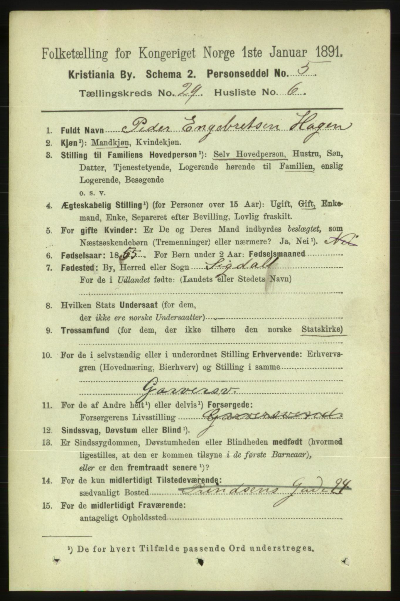 RA, 1891 census for 0301 Kristiania, 1891, p. 15029