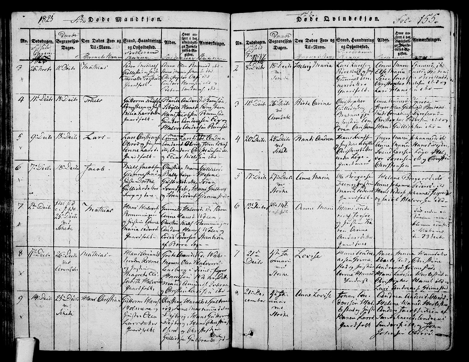 Stokke kirkebøker, AV/SAKO-A-320/F/Fa/L0005: Parish register (official) no. I 5, 1815-1826, p. 155