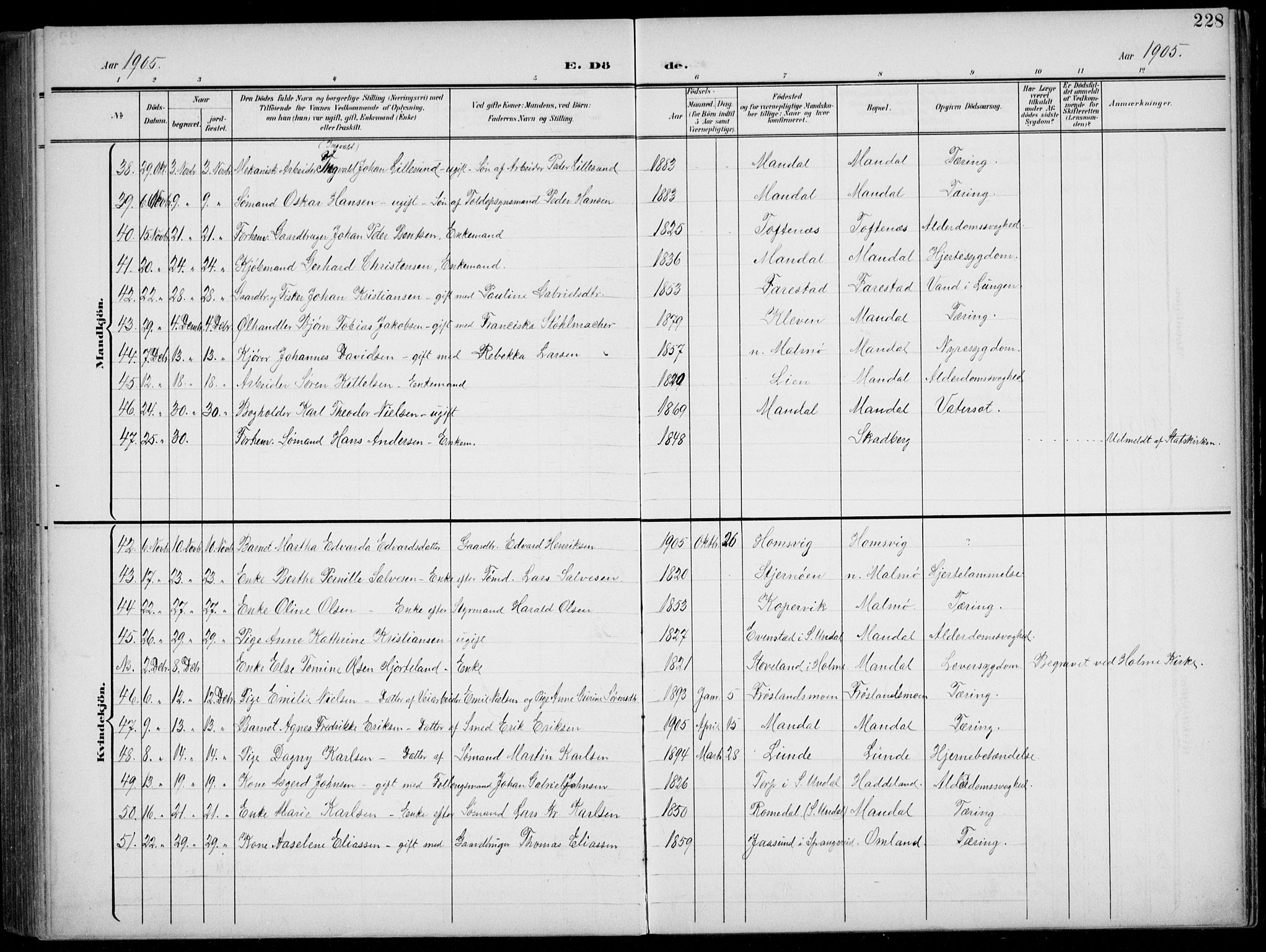 Mandal sokneprestkontor, AV/SAK-1111-0030/F/Fb/Fba/L0012: Parish register (copy) no. B 6, 1899-1918, p. 228