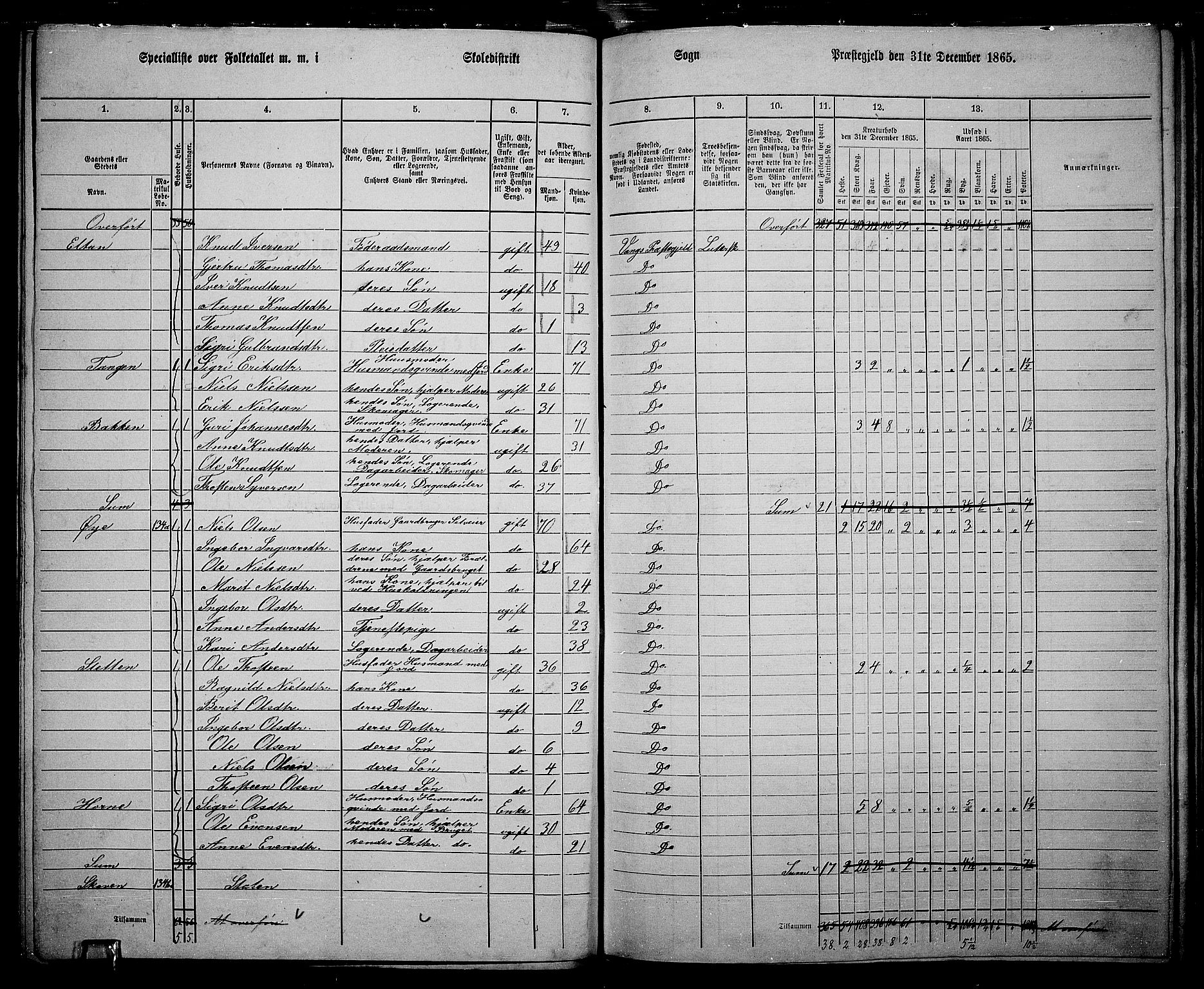 RA, 1865 census for Vang, 1865, p. 90