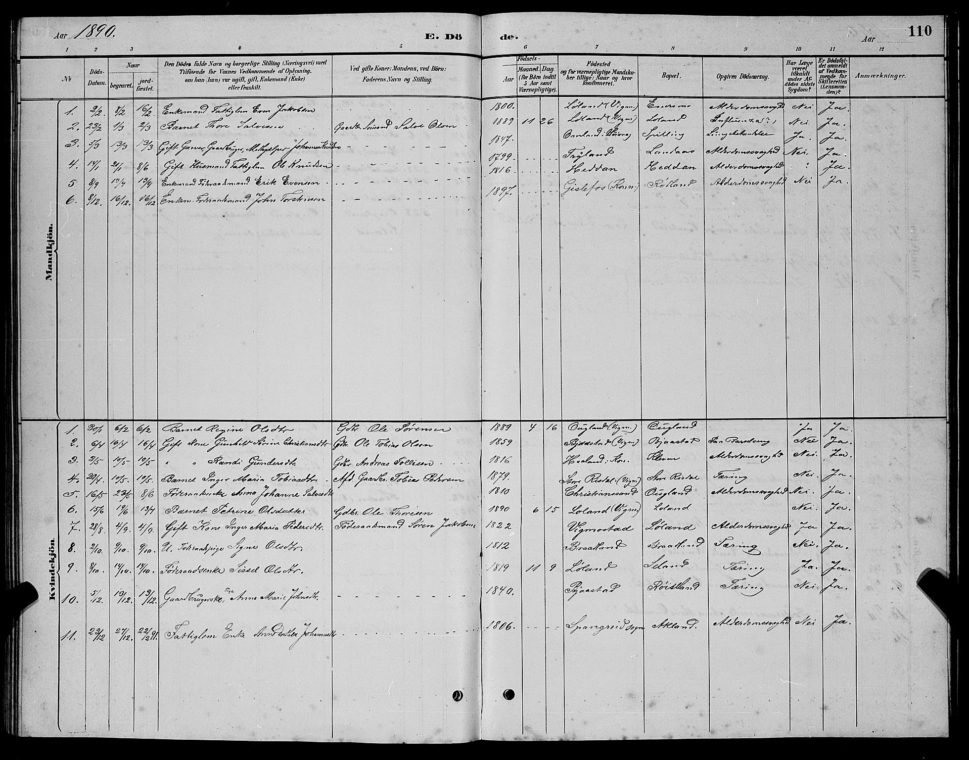 Nord-Audnedal sokneprestkontor, AV/SAK-1111-0032/F/Fb/Fbb/L0003: Parish register (copy) no. B 3, 1882-1900, p. 110