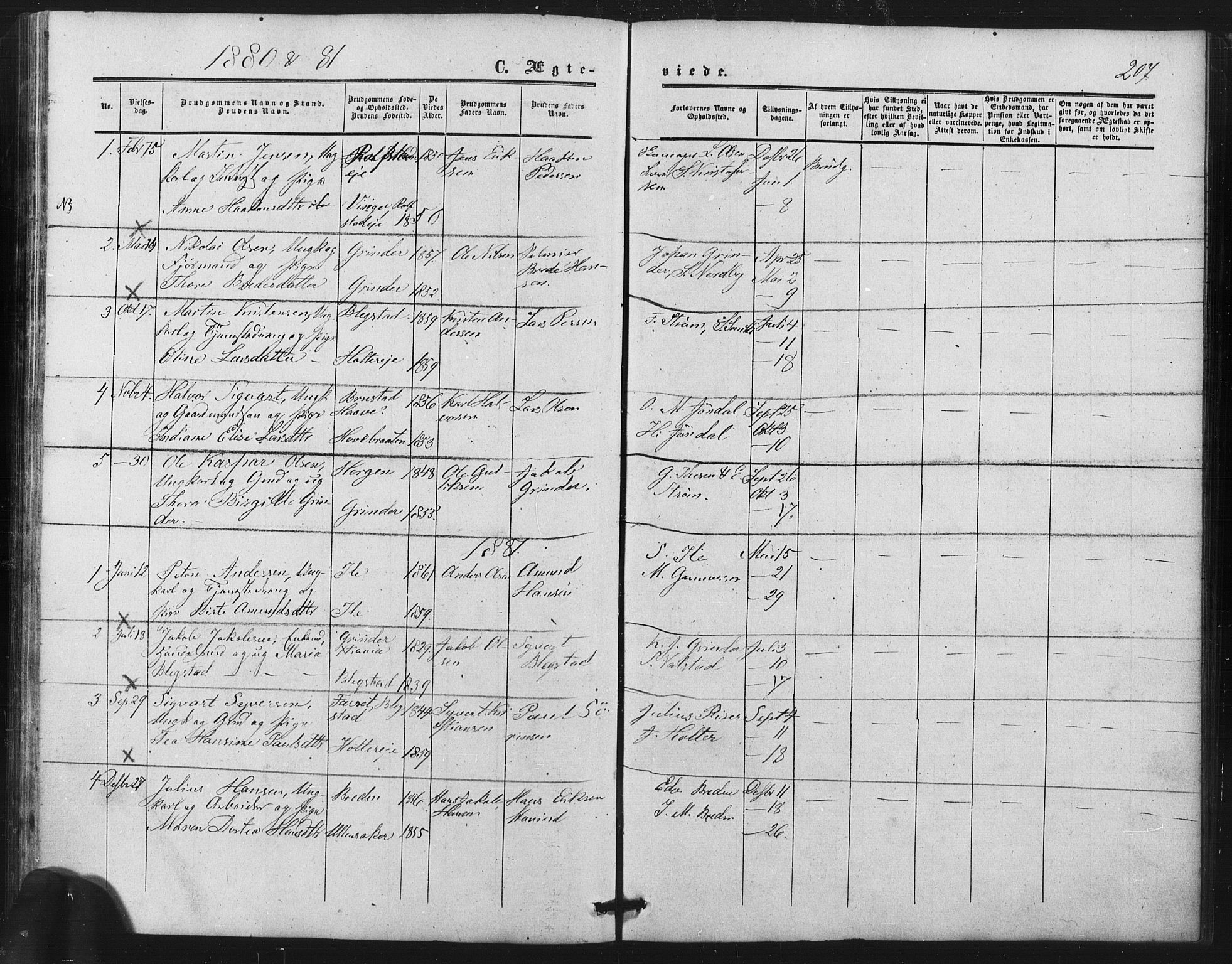 Nes prestekontor Kirkebøker, SAO/A-10410/F/Fb/L0001: Parish register (official) no. II 1, 1859-1882, p. 207